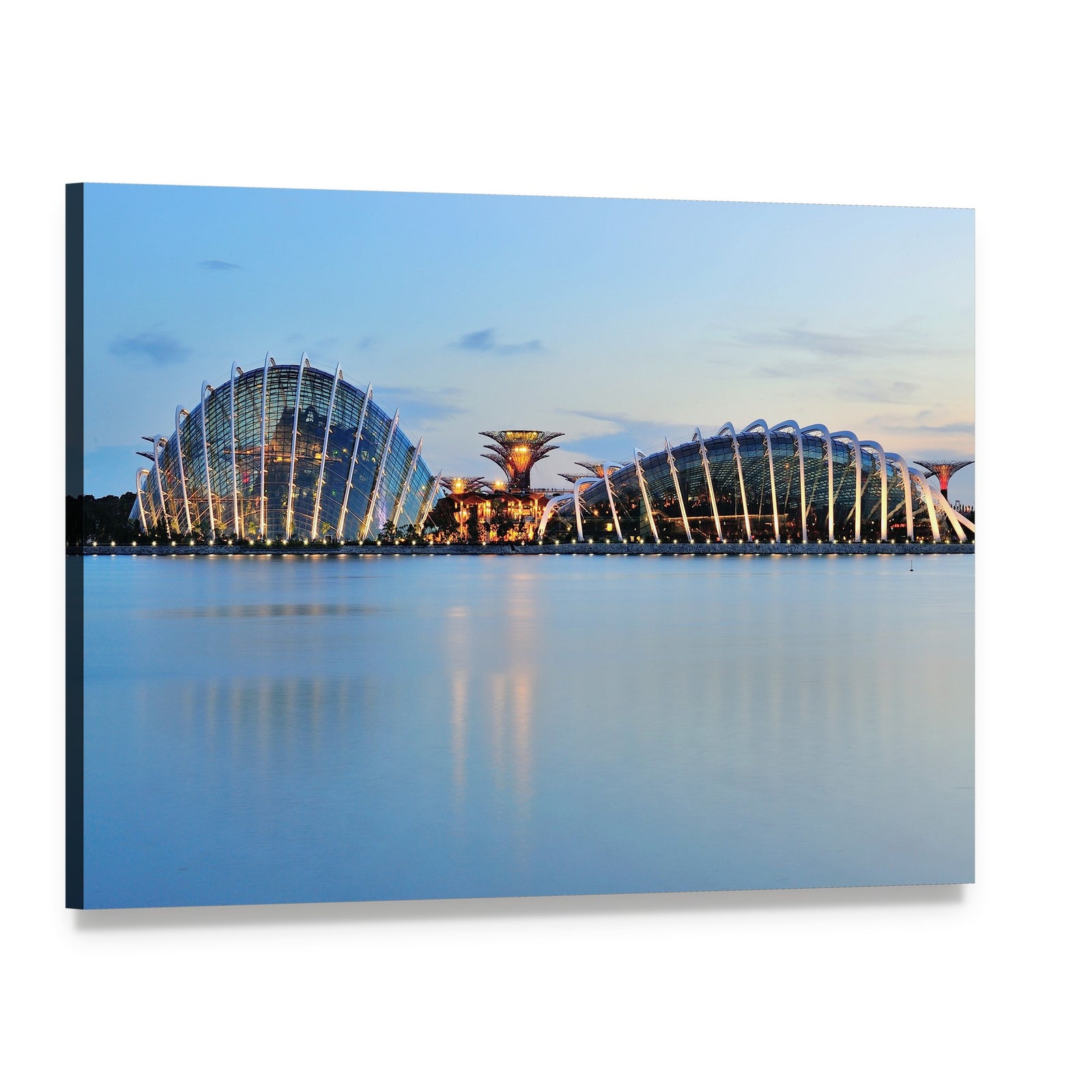 Illuminated Domes and Super Trees Canvas Wall Art, single panel gallery wrapped canvas, angled product view