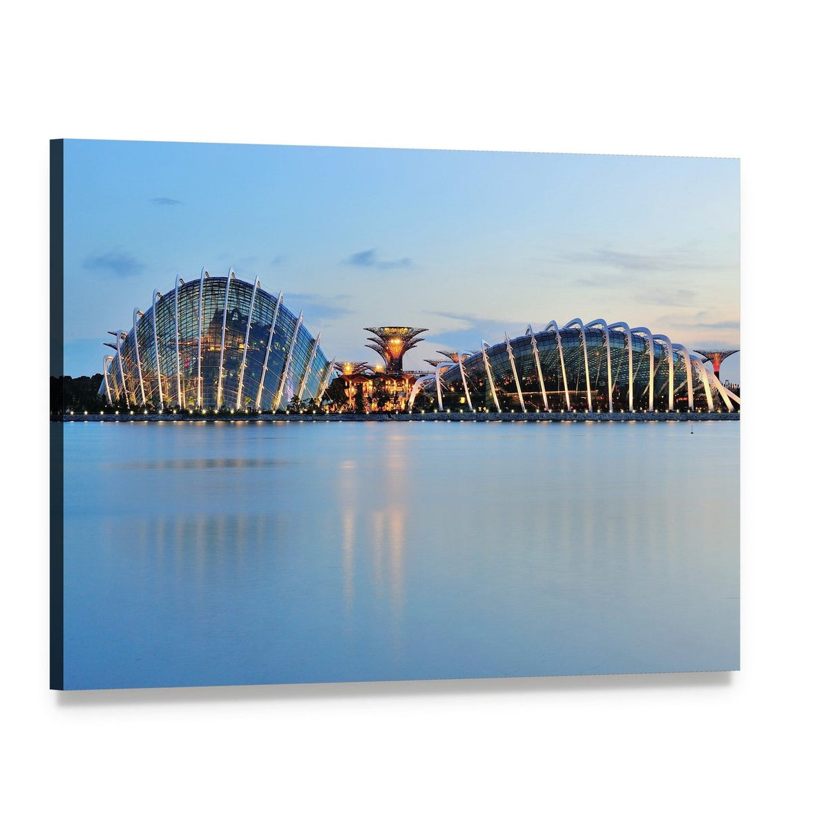 Illuminated Domes and Super Trees Canvas Wall Art, single panel gallery wrapped canvas, angled product view