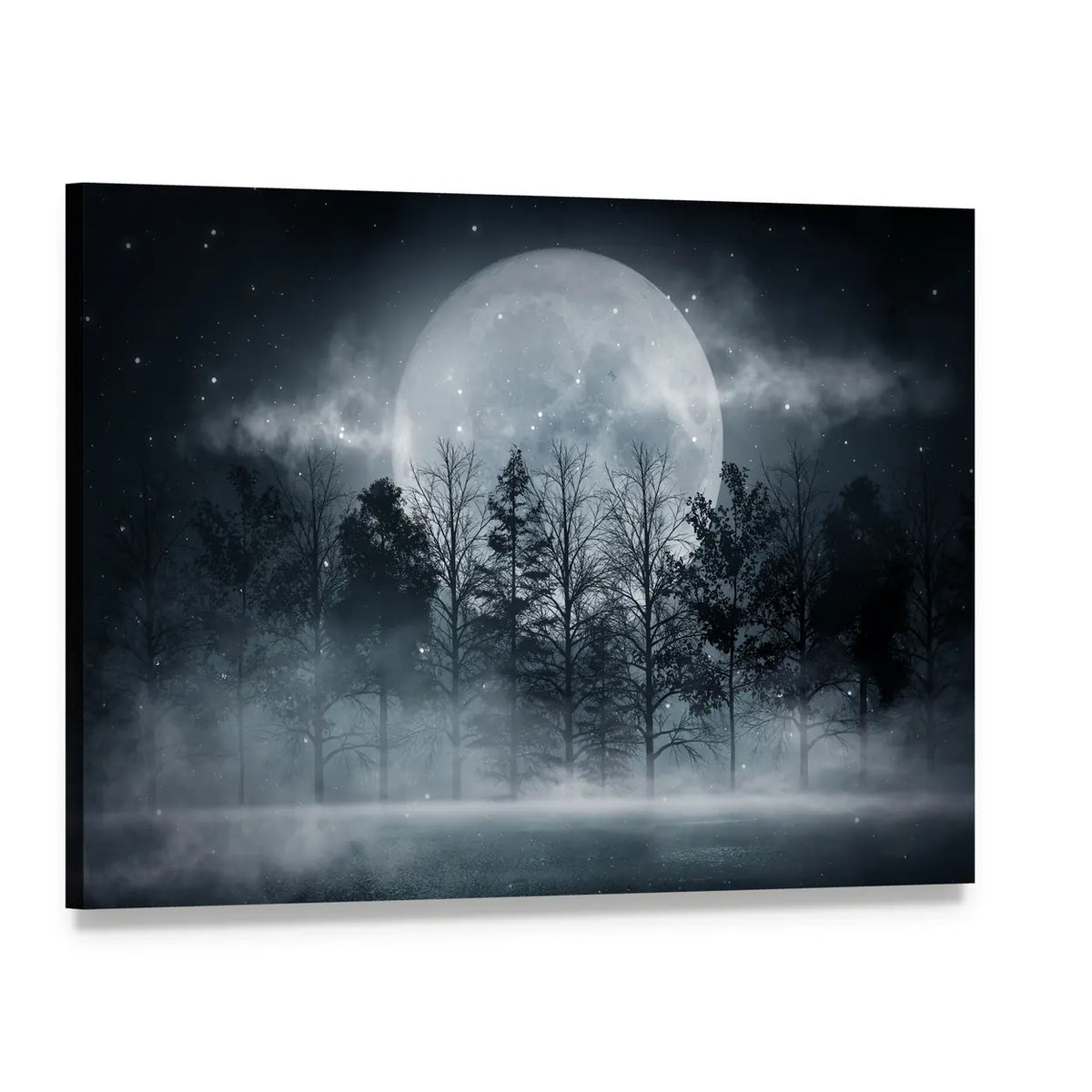 Foggy Dark Forest Canvas Wall Art, single panel gallery wrapped canvas, angled product view