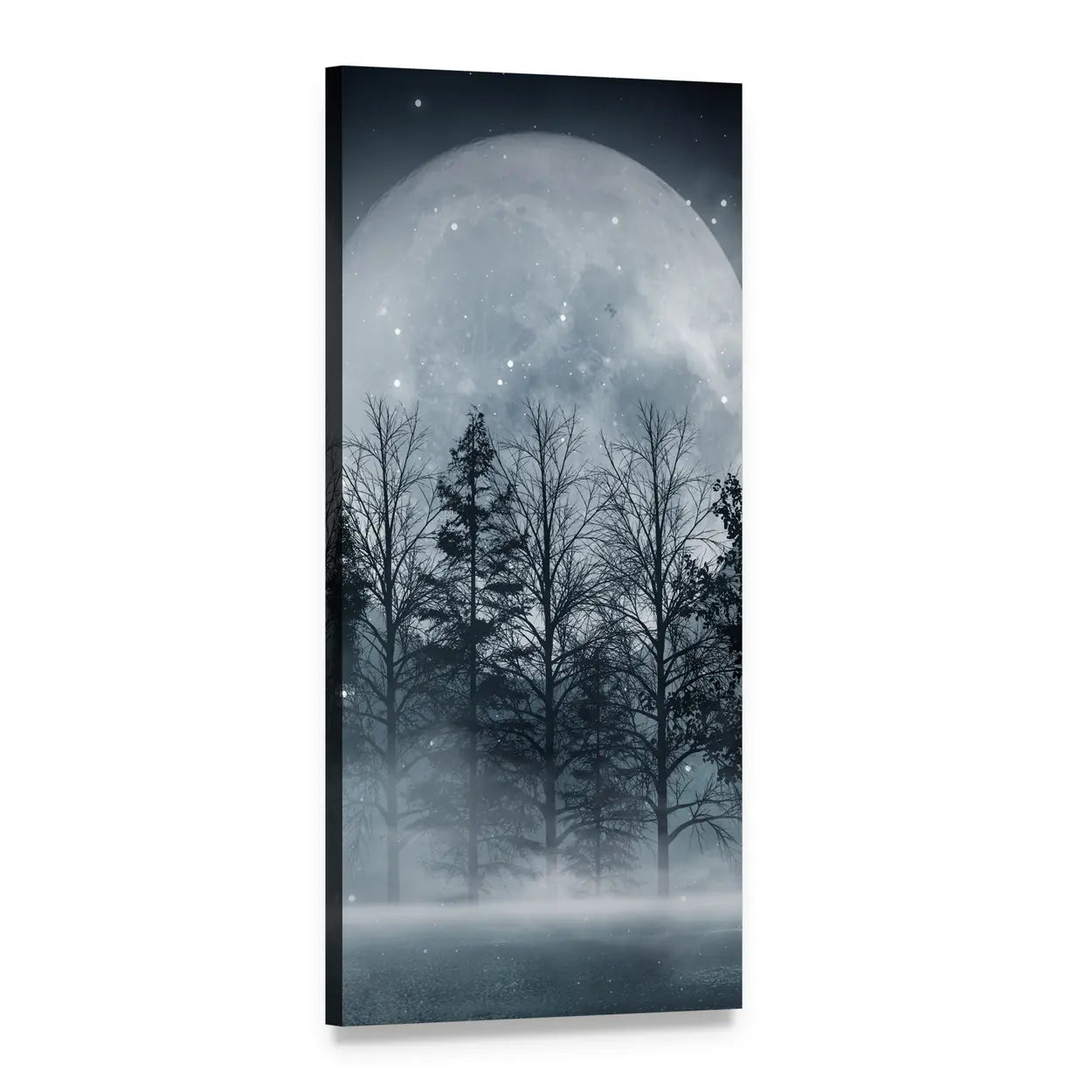 Foggy Forest Beneath Full Moon Vertical Canvas Wall Art, 1 panel 1 Vertical layout gallery wrapped canvas set, angled product view