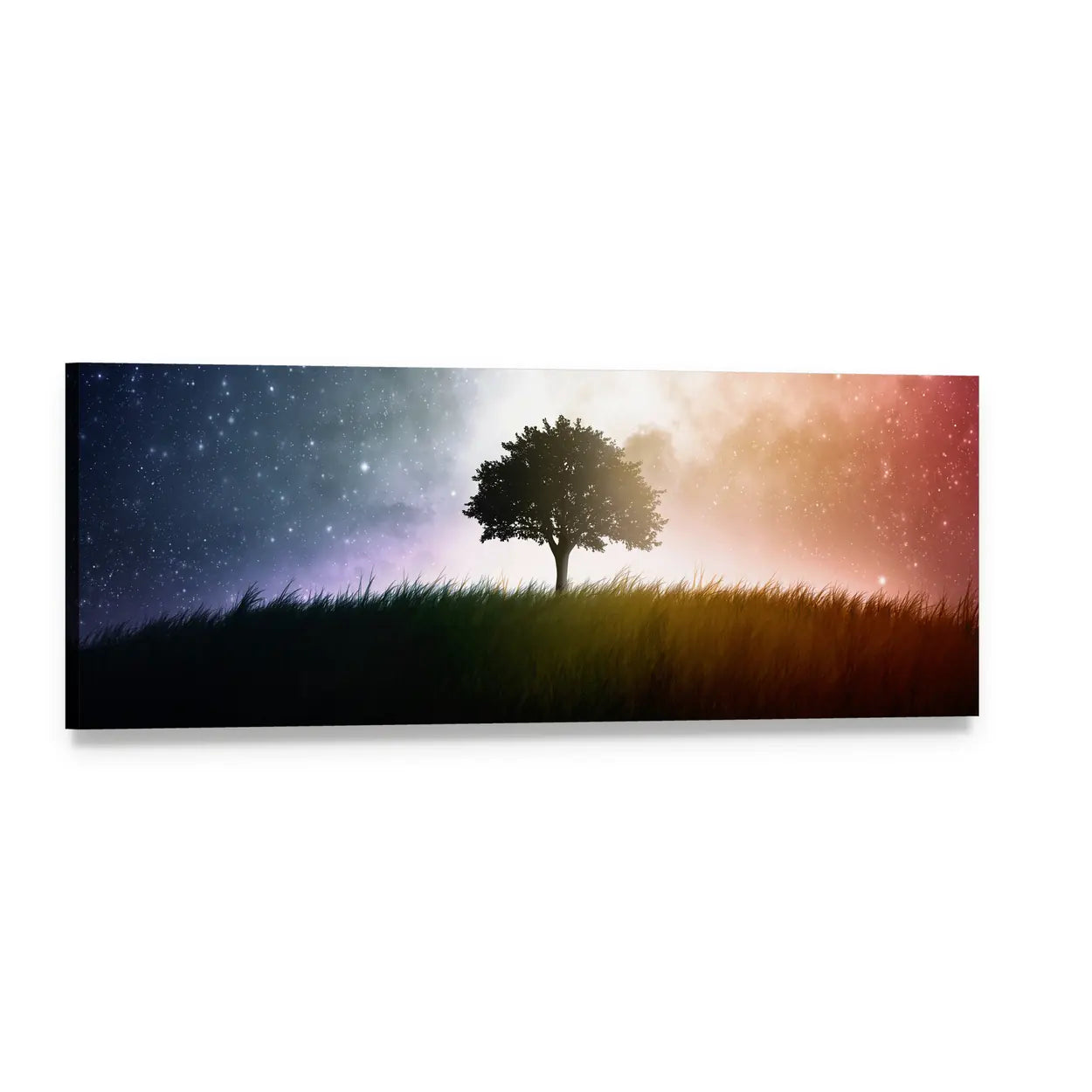 Solitary Tree Under Starry Sky Panoramic Canvas Wall Art, single panel gallery wrapped canvas, angled product view