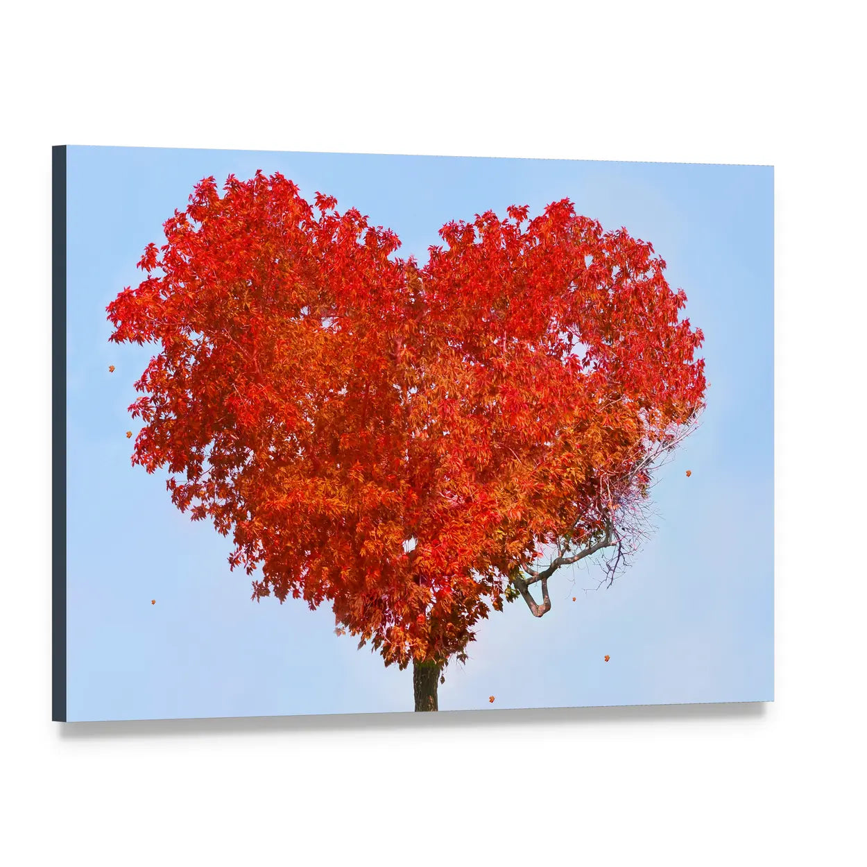 Heart-shaped Tree of Love Canvas Wall Art, single panel gallery wrapped canvas, angled product view
