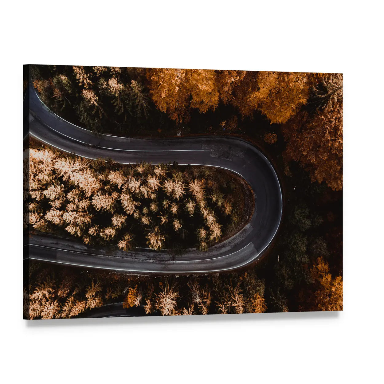 Aerial View of Winding Forest Road Canvas Wall Art, single panel gallery wrapped canvas, angled product view