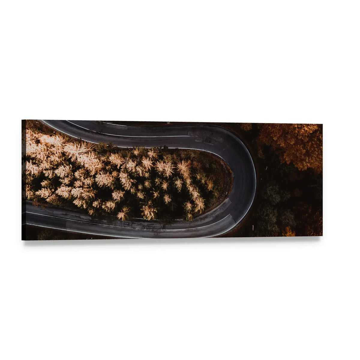 Winding Forest Road in the Mountains Panoramic Canvas Wall Art, single panel gallery wrapped canvas, angled product view