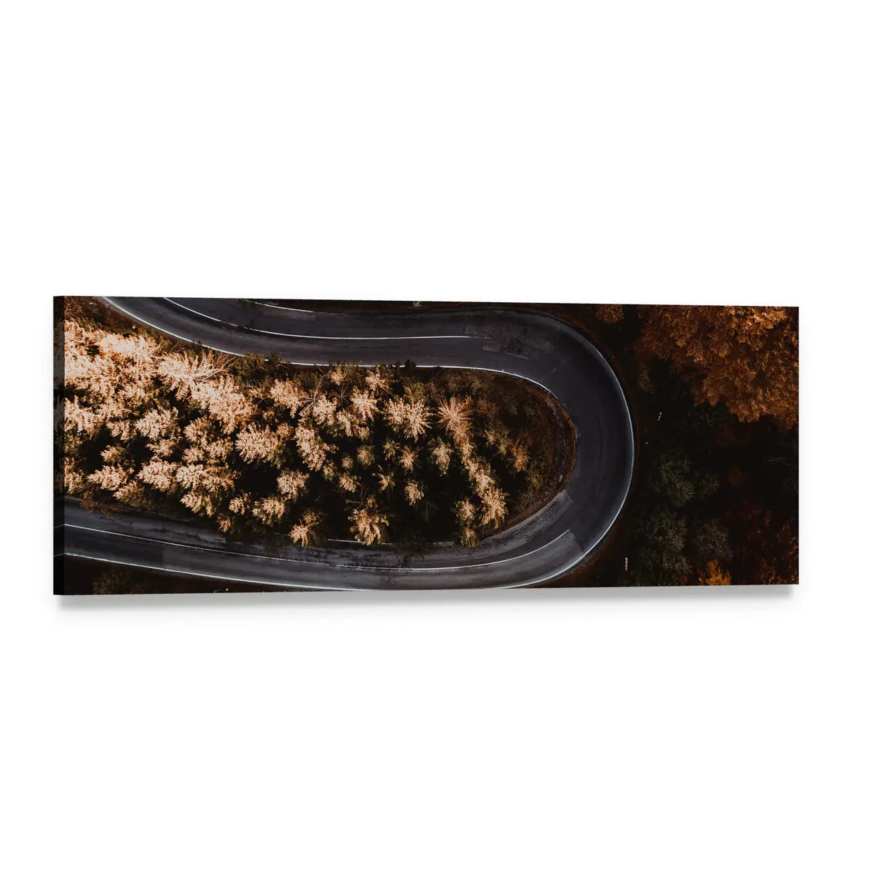 Winding Forest Road in the Mountains Panoramic Canvas Wall Art, single panel gallery wrapped canvas, angled product view