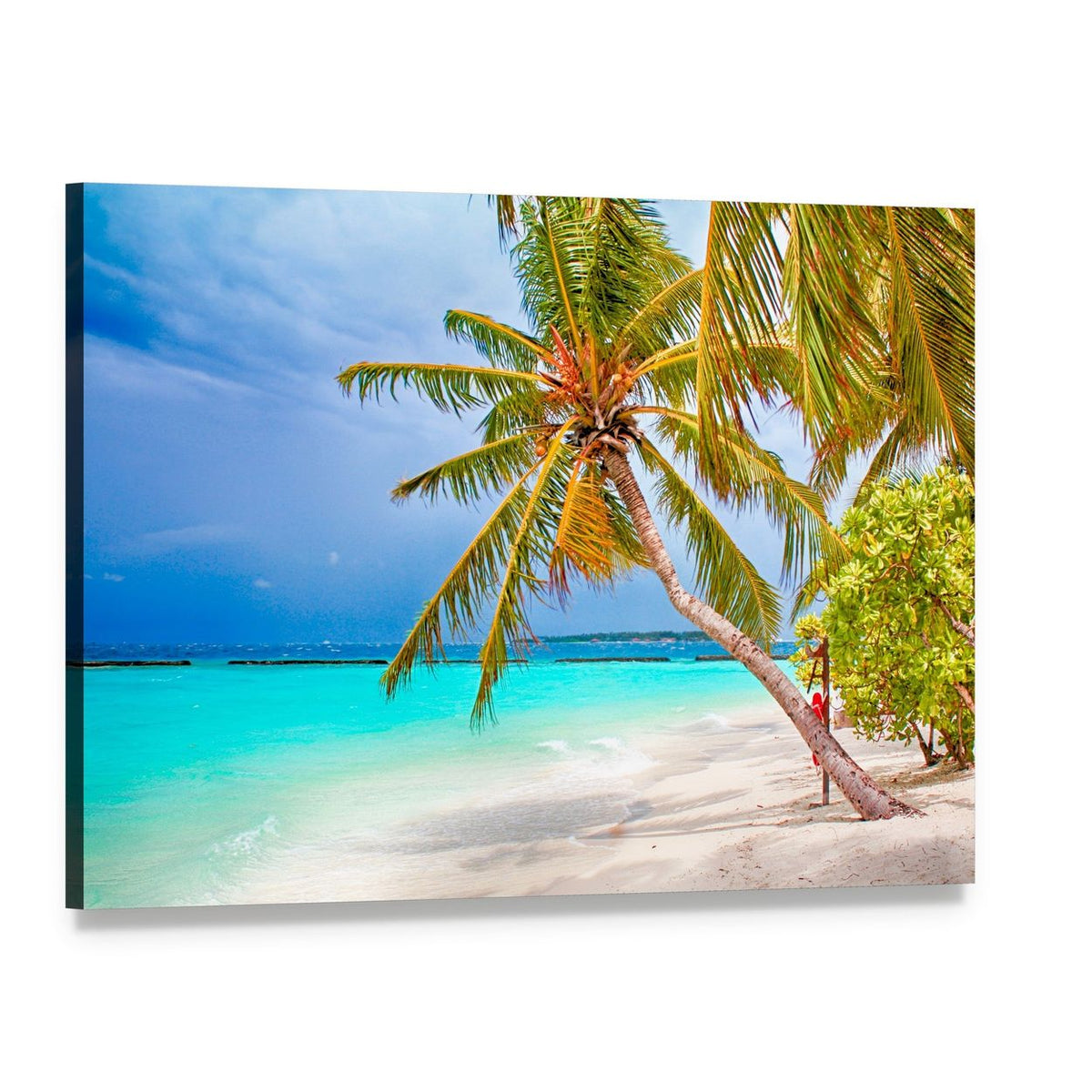 Tropical Beach with Palm Tree Canvas Wall Art, single panel gallery wrapped canvas, angled product view
