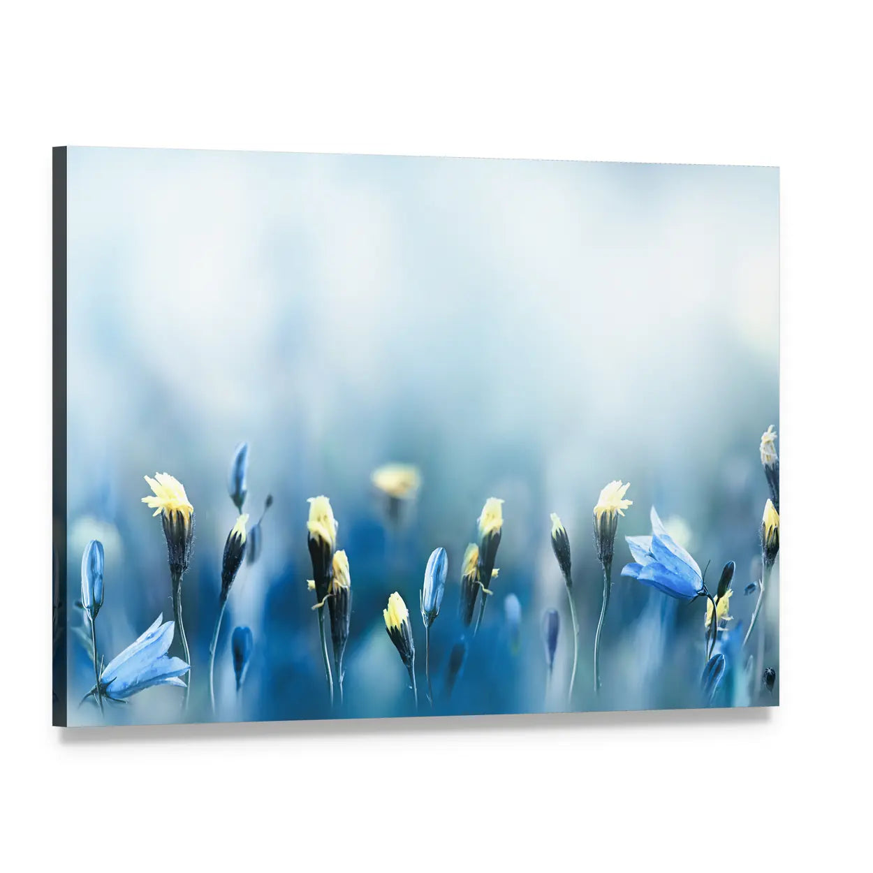 Yellow Dandelions Canvas Wall Art, single panel gallery wrapped canvas, angled product view