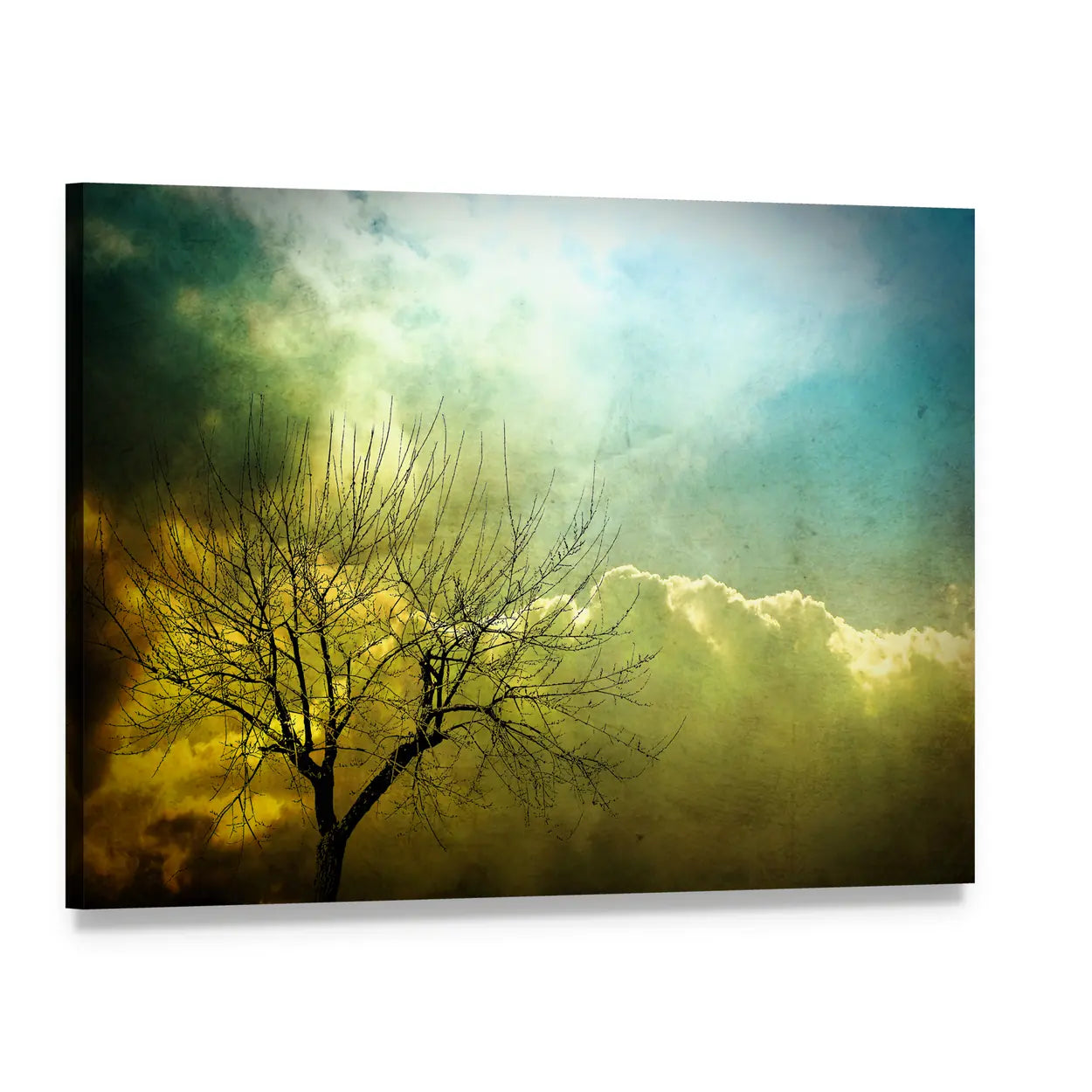 Grunge Leafless Tree with Backlit Clouds Canvas Wall Art, single panel gallery wrapped canvas, angled product view