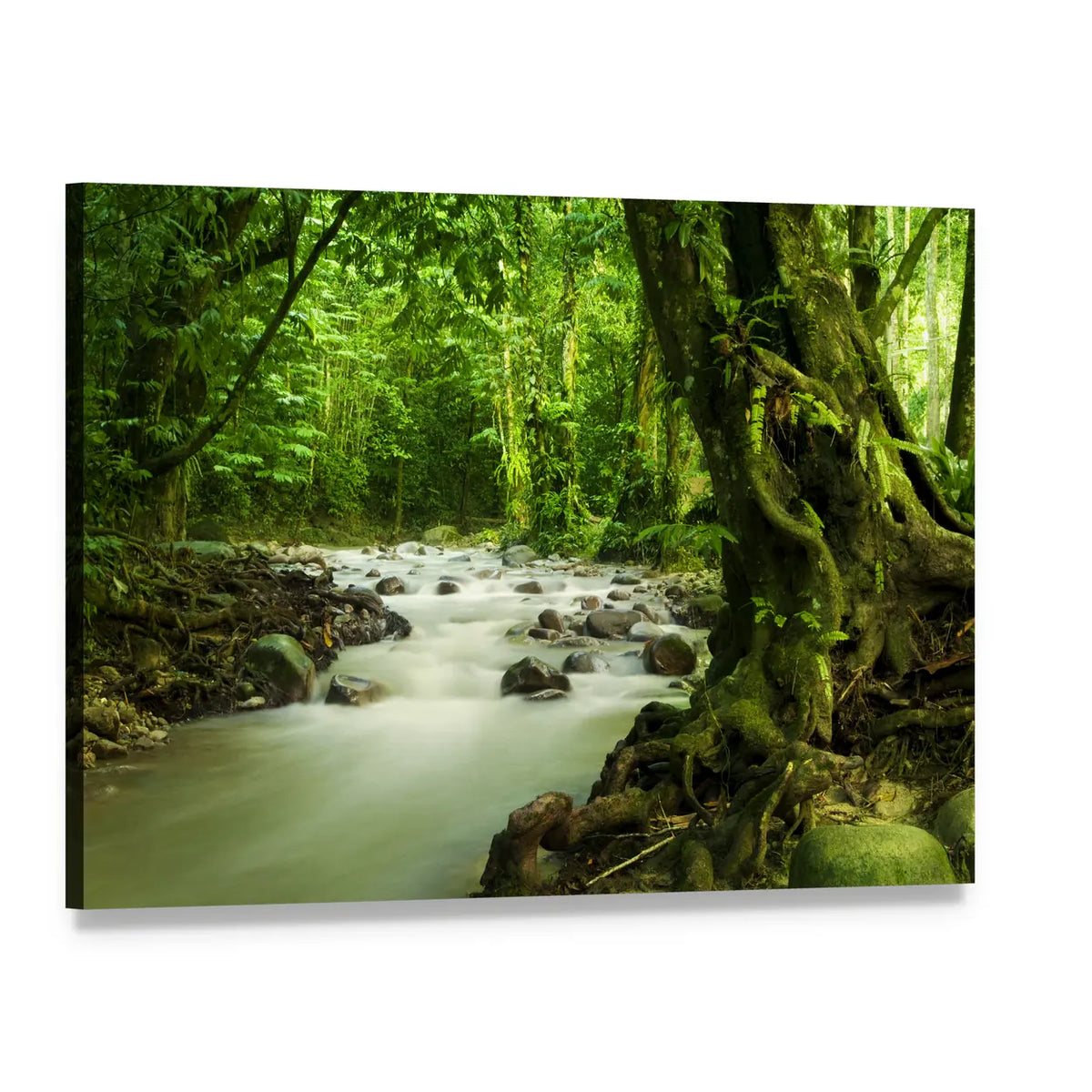Tropical River At Selangor State In Malaysia Canvas Wall Art, single panel gallery wrapped canvas, angled product view