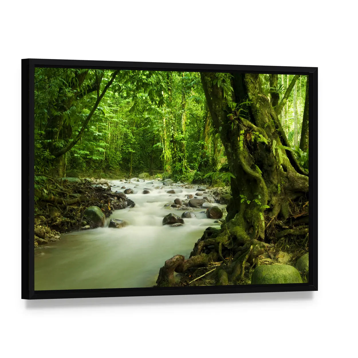 Tropical River At Selangor State In Malaysia Canvas Wall Art, framed canvas in a black floater frame, angled product view