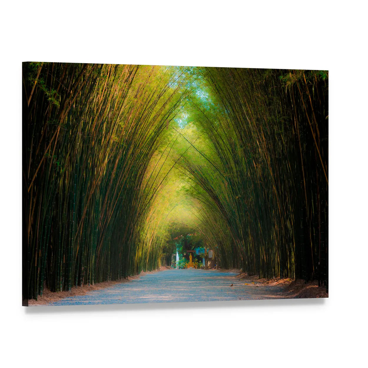 Tunnel Bamboo Trees In Thailand Canvas Wall Art, single panel gallery wrapped canvas, angled product view