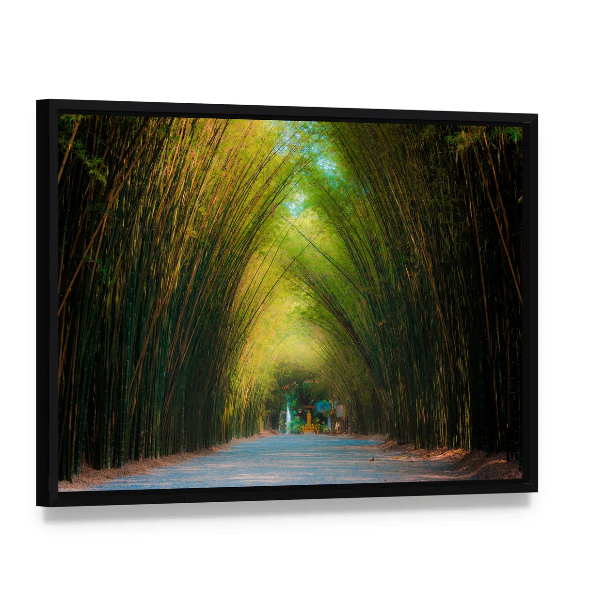 Tunnel Bamboo Trees In Thailand Canvas Wall Art, framed canvas in a black floater frame, angled product view