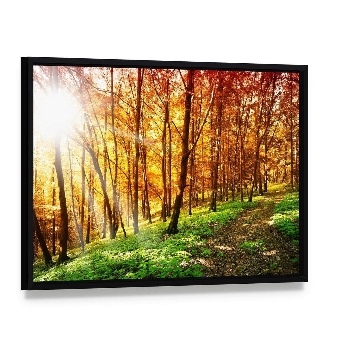 Sun in the Autumn Forest Canvas Wall Art, framed canvas in a black floater frame, angled product view