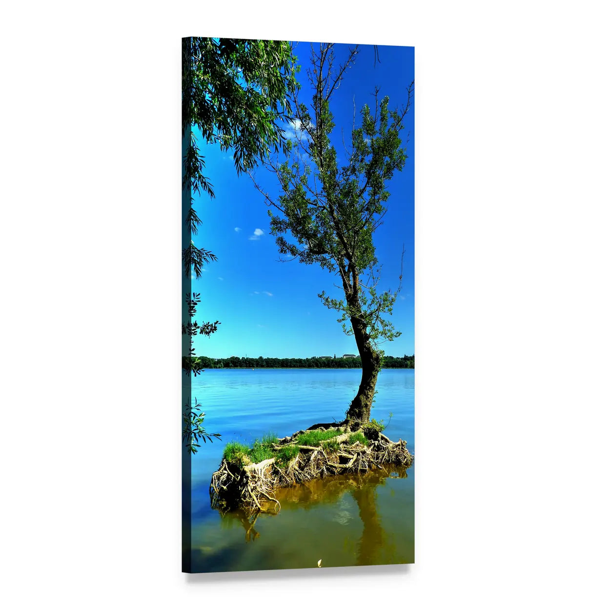 Lone Tree on Islet with Exposed Roots Vertical Canvas Wall Art, 1 panel 1 Vertical layout gallery wrapped canvas set, angled product view