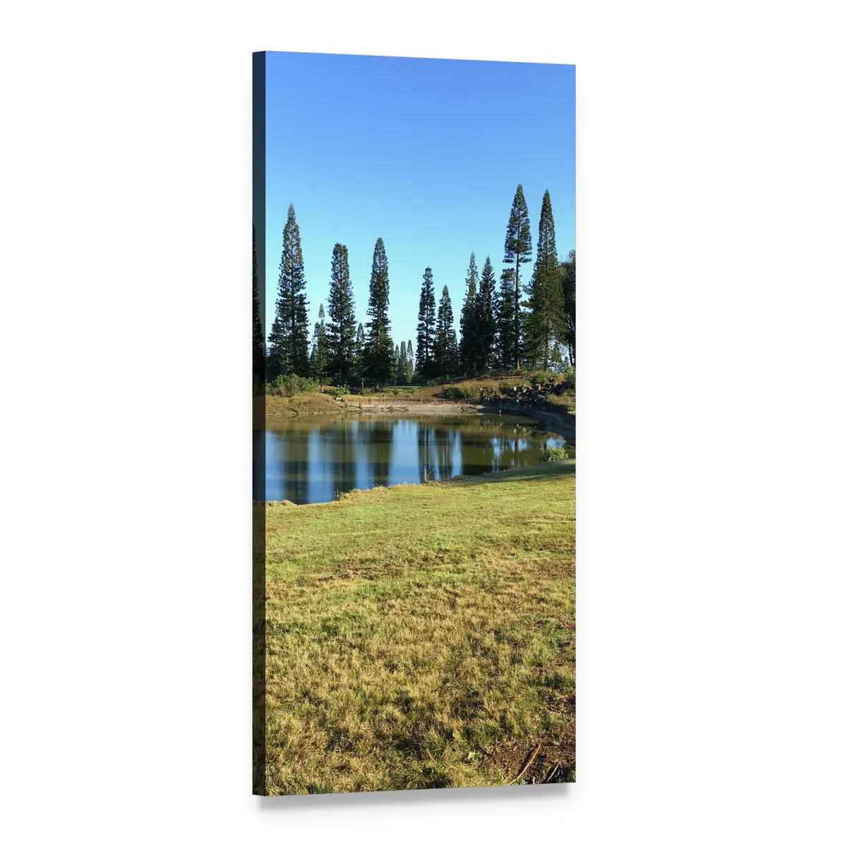 Pine Trees Beside a Reflective Lake Vertical Canvas Wall Art, 1 panel 1 Vertical layout gallery wrapped canvas set, angled product view