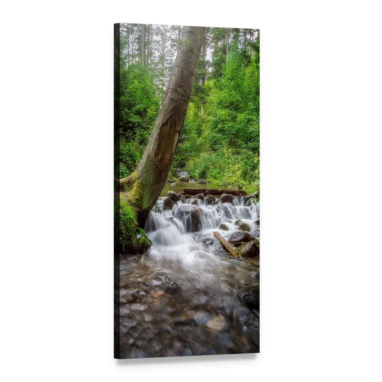 Mossy Forest Stream and Waterfall Vertical Canvas Wall Art, 1 panel 1 Vertical layout gallery wrapped canvas set, angled product view