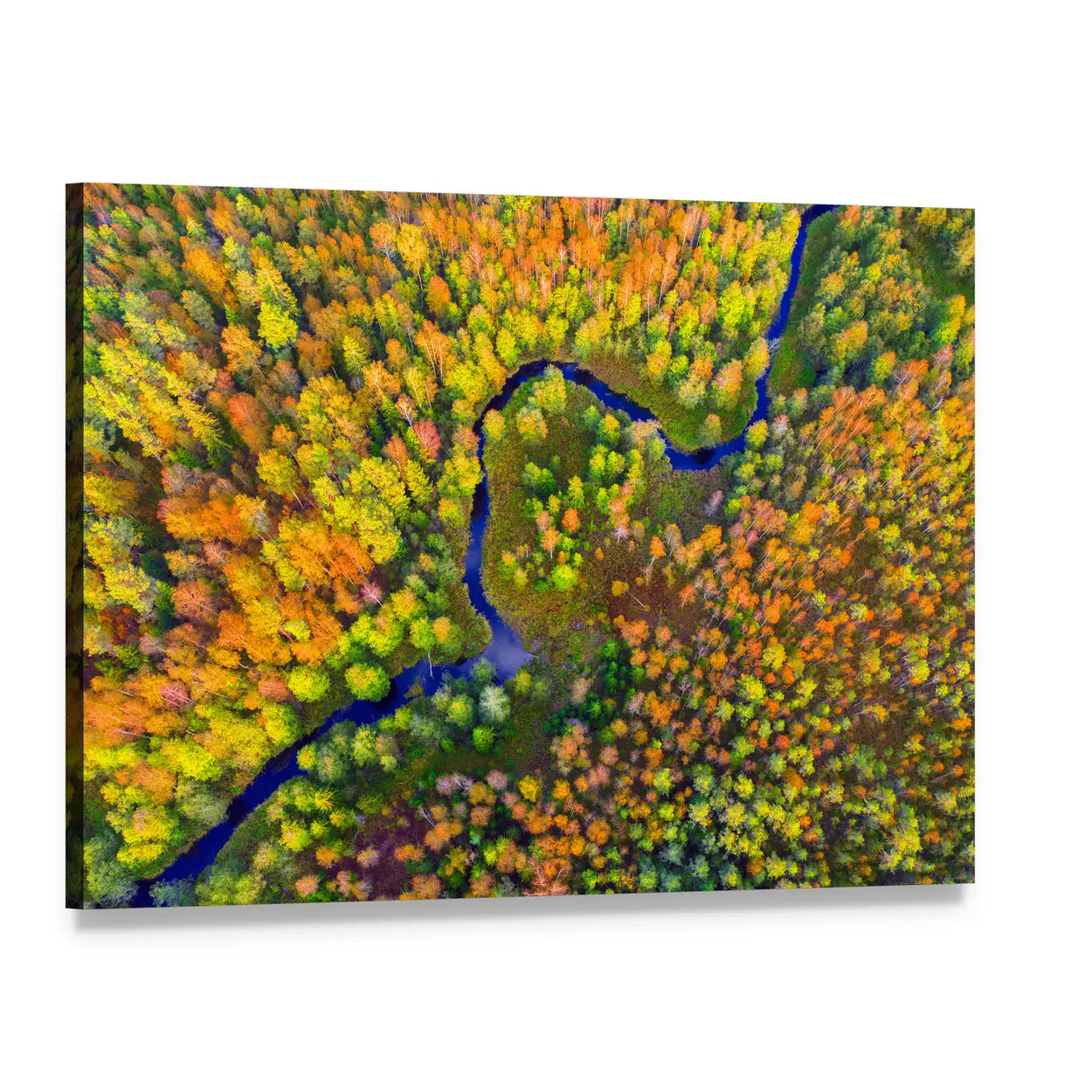 River In Autumn Forest Canvas Wall Art, single panel gallery wrapped canvas, angled product view