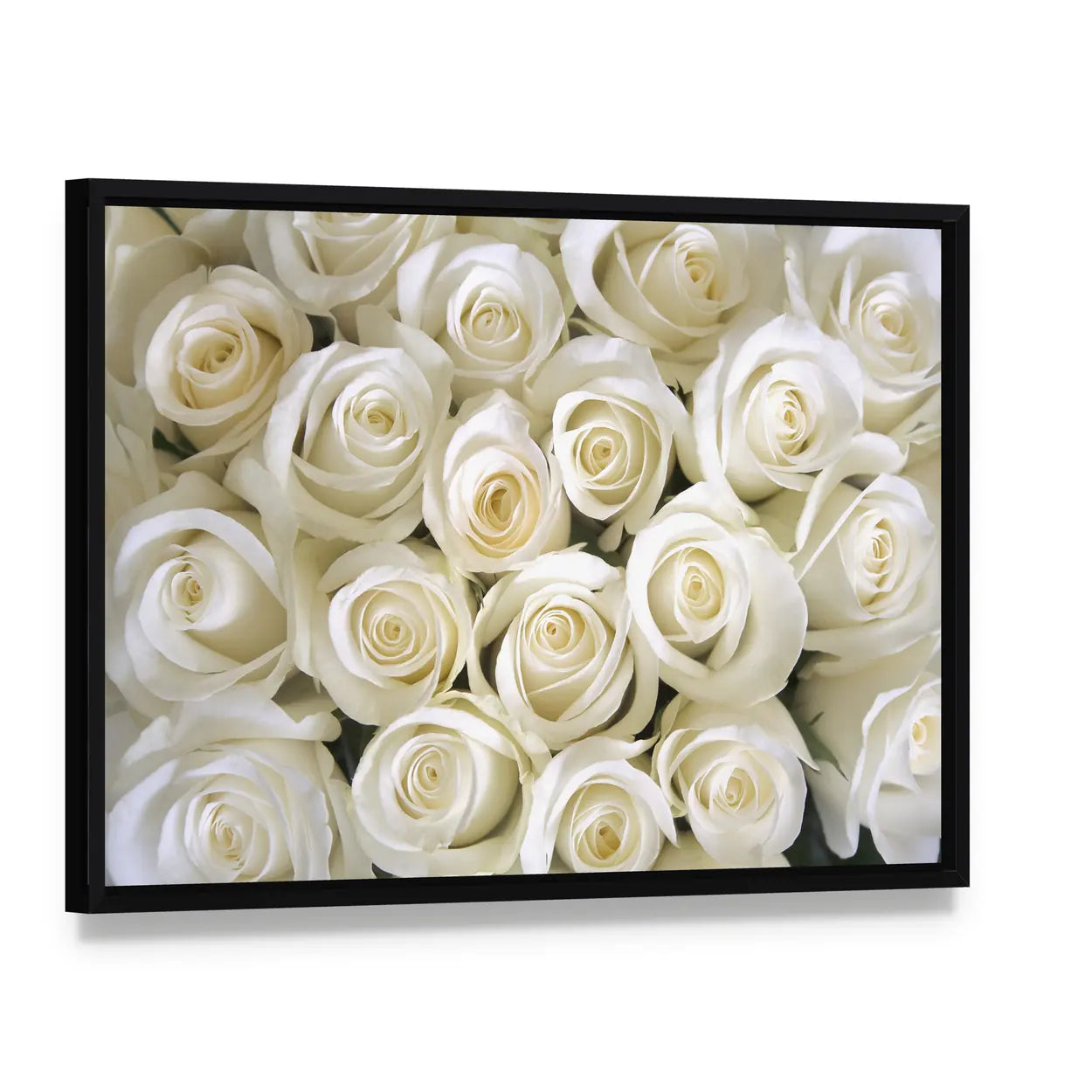 Silky White Roses Canvas Wall Art, framed canvas in a black floater frame, angled product view
