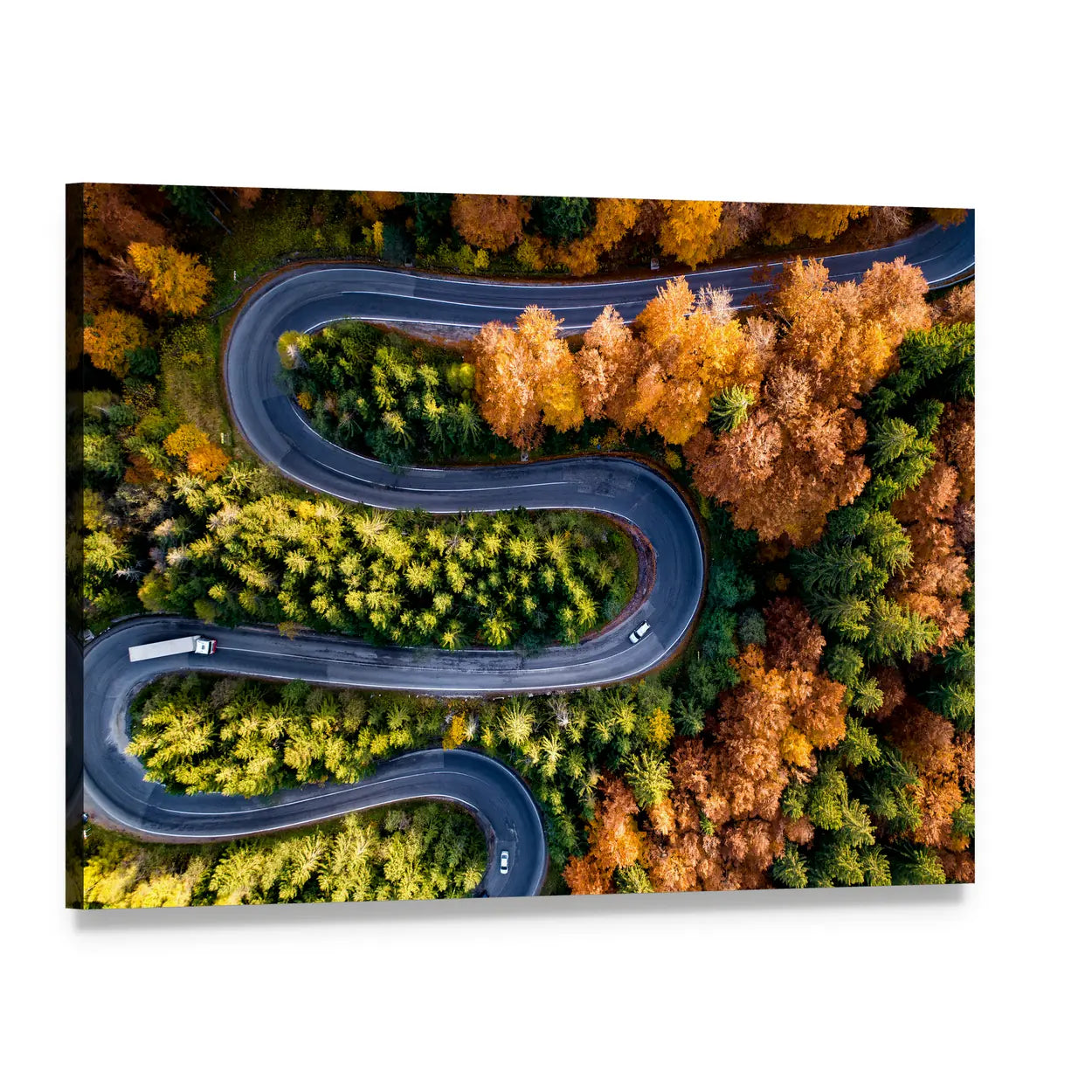 Winding Forest Road From Top Canvas Wall Art, single panel gallery wrapped canvas, angled product view