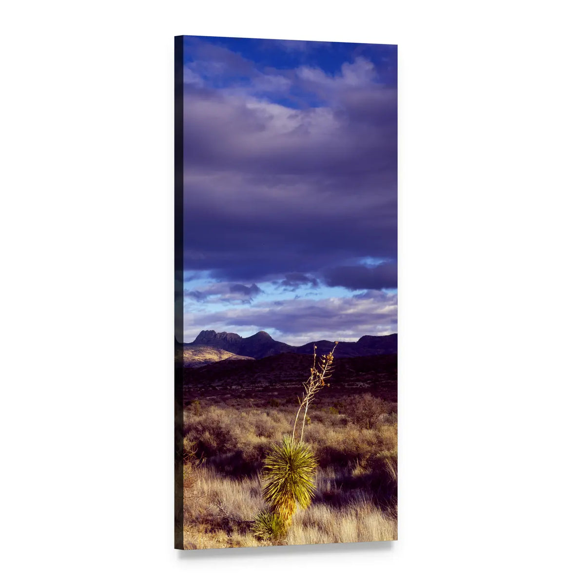 Yucca Desert Landscape Usa Vertical Canvas Wall Art, 1 panel 1 Vertical layout gallery wrapped canvas set, angled product view