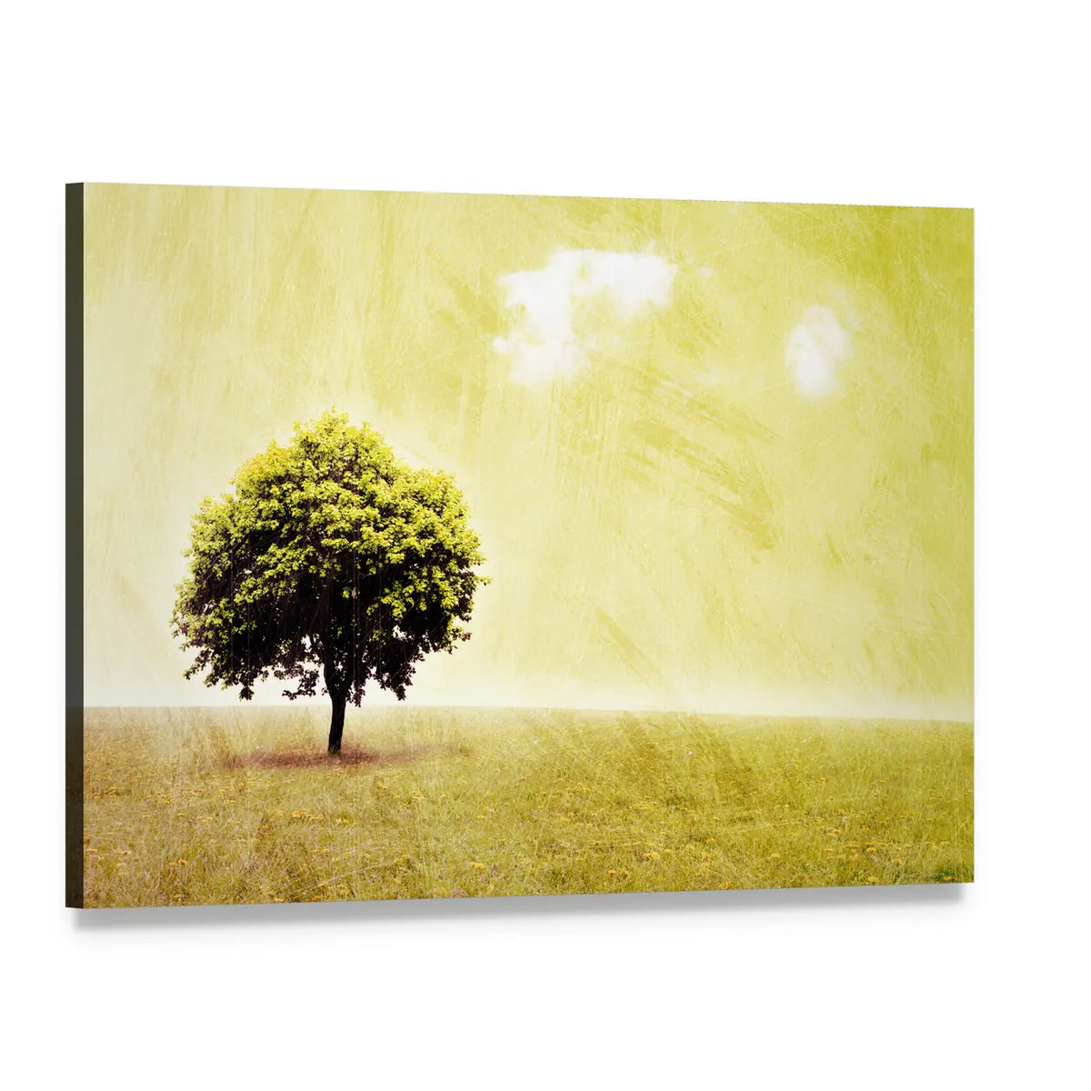 Lone Tree in Yellow Meadow Canvas Wall Art, single panel gallery wrapped canvas, angled product view