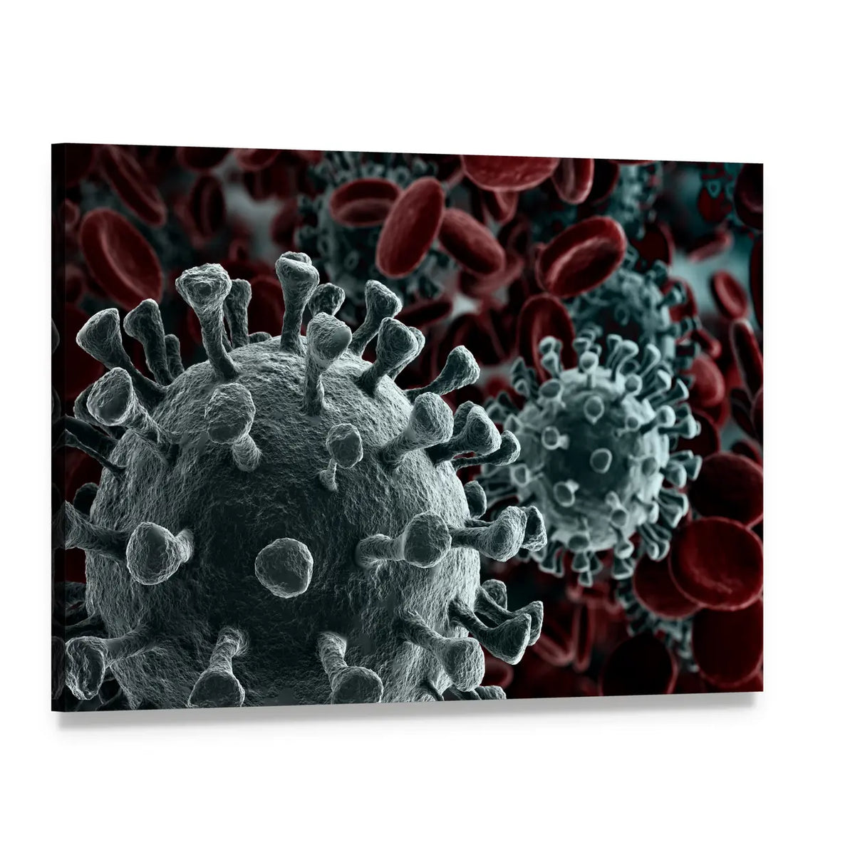 Coronavirus Particles with Red Blood Cells Canvas Wall Art, single panel gallery wrapped canvas, angled product view
