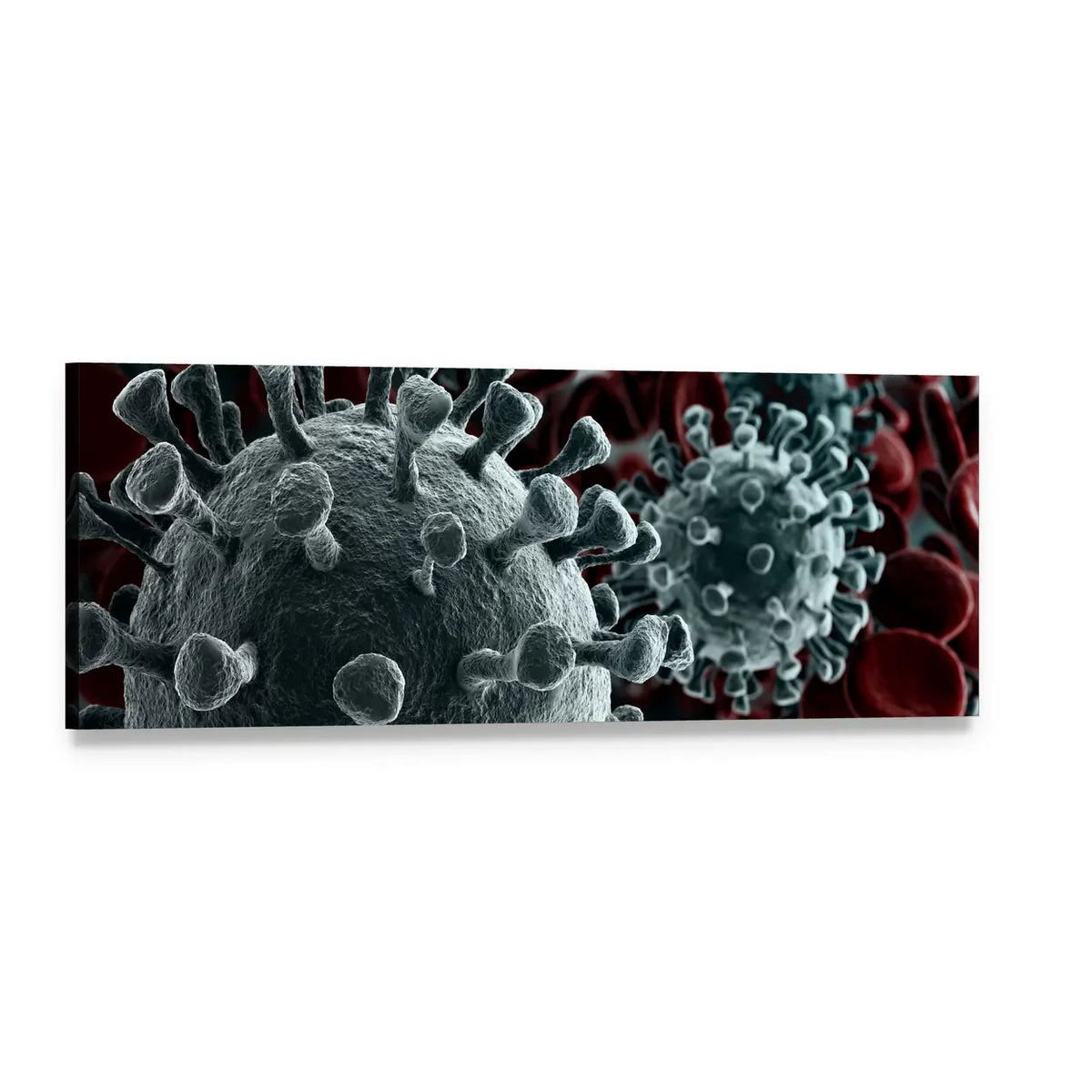 Coronavirus Spike Protein Close-up Panoramic Canvas Wall Art, single panel gallery wrapped canvas, angled product view