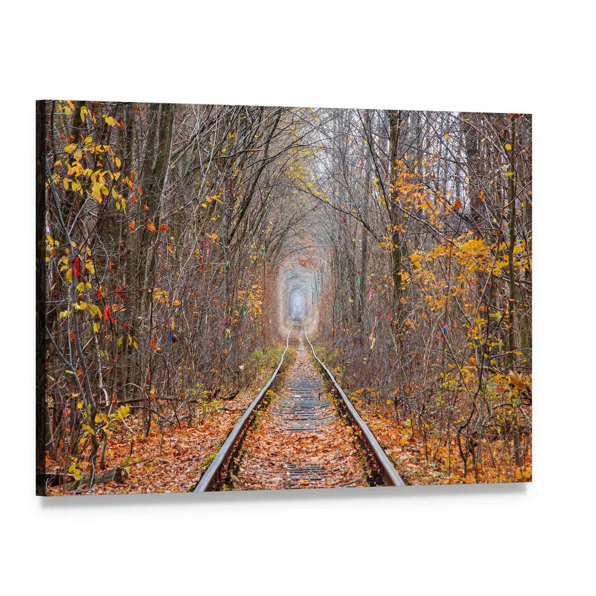 Tunnel of Love in Late Autumn Canvas Wall Art, single panel gallery wrapped canvas, angled product view