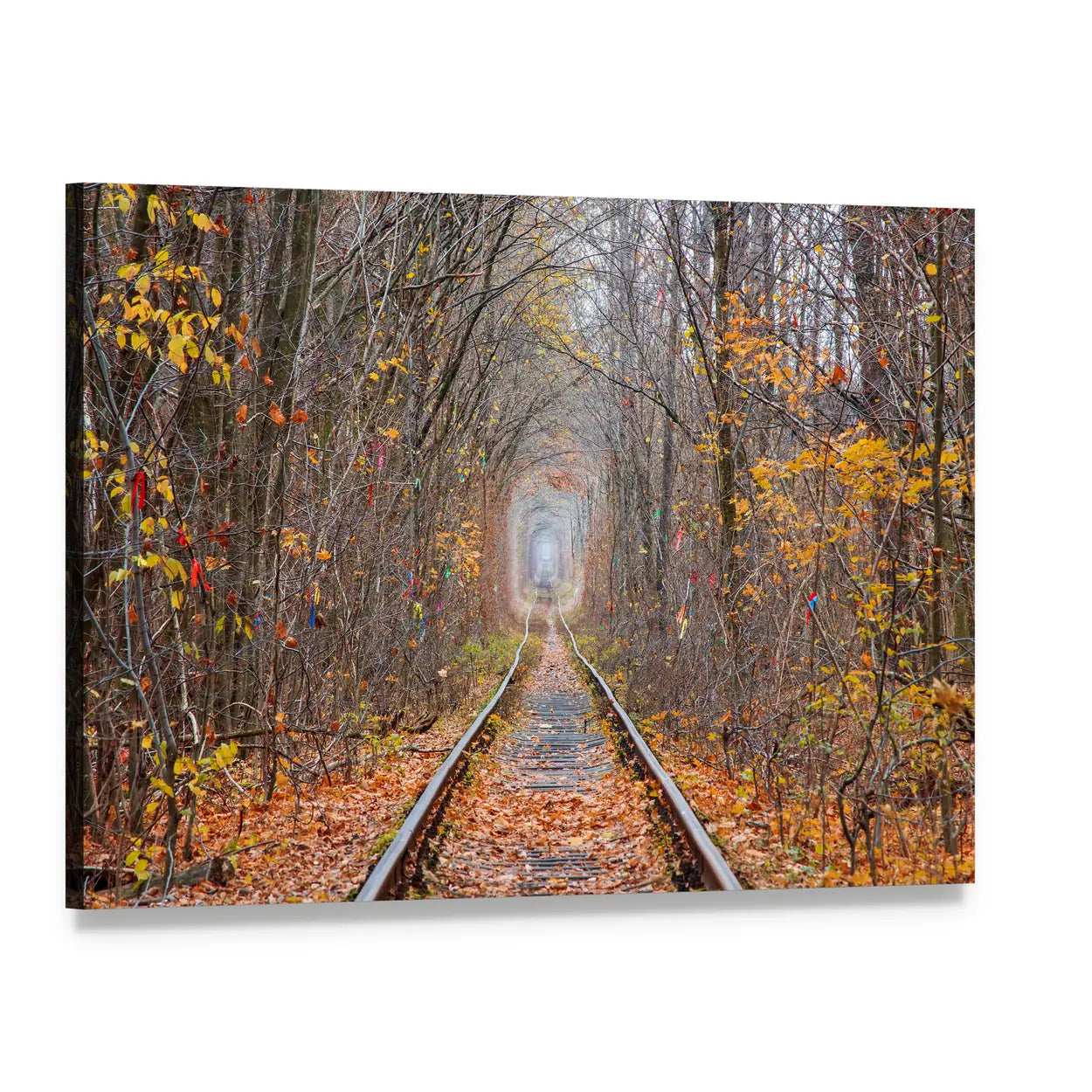 Tunnel of Love in Late Autumn Canvas Wall Art, single panel gallery wrapped canvas, angled product view