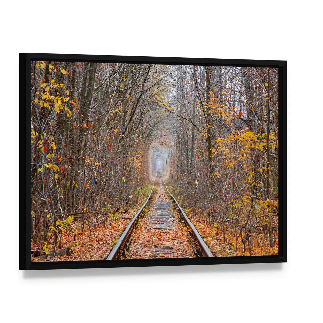 Tunnel of Love in Late Autumn Canvas Wall Art, framed canvas in a black floater frame, angled product view