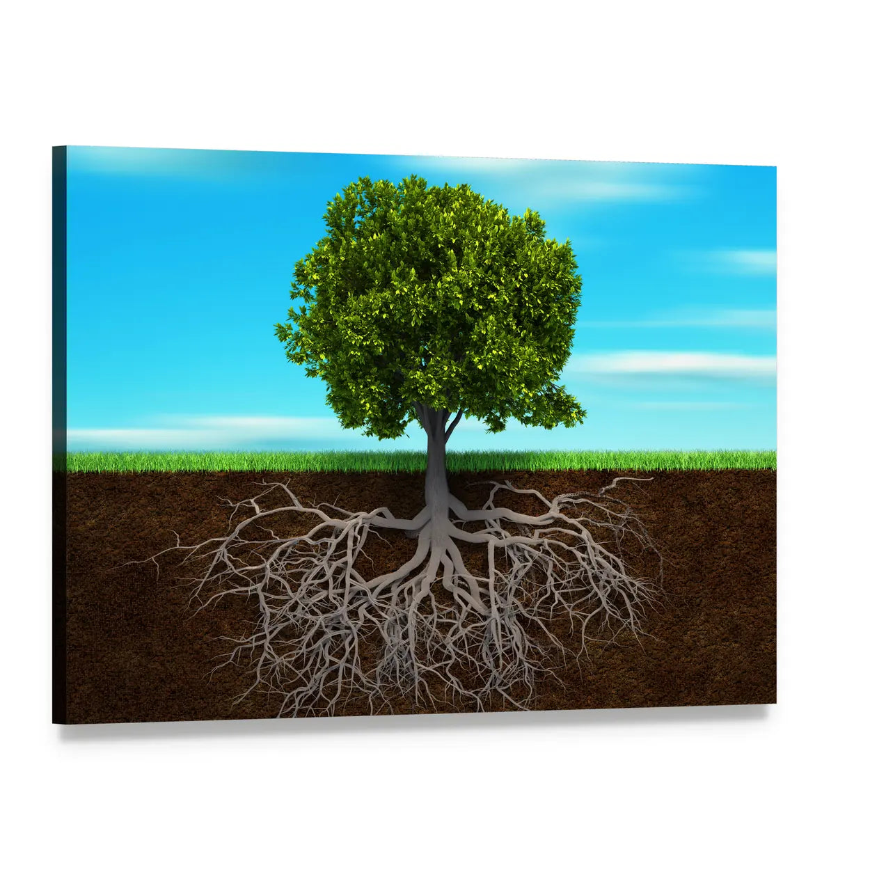 Tree Root Cross-section Illustration Canvas Wall Art, single panel gallery wrapped canvas, angled product view