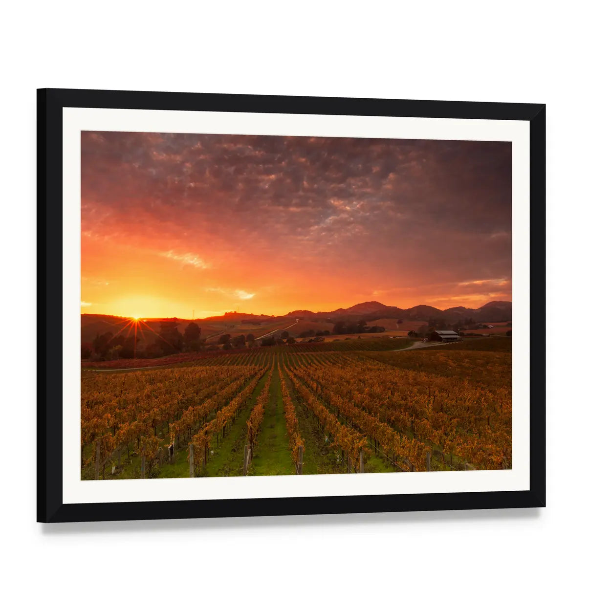 Sunrise Over Napa Valley Vineyards Canvas Wall Art, framed print with white mat and black frame, angled product view