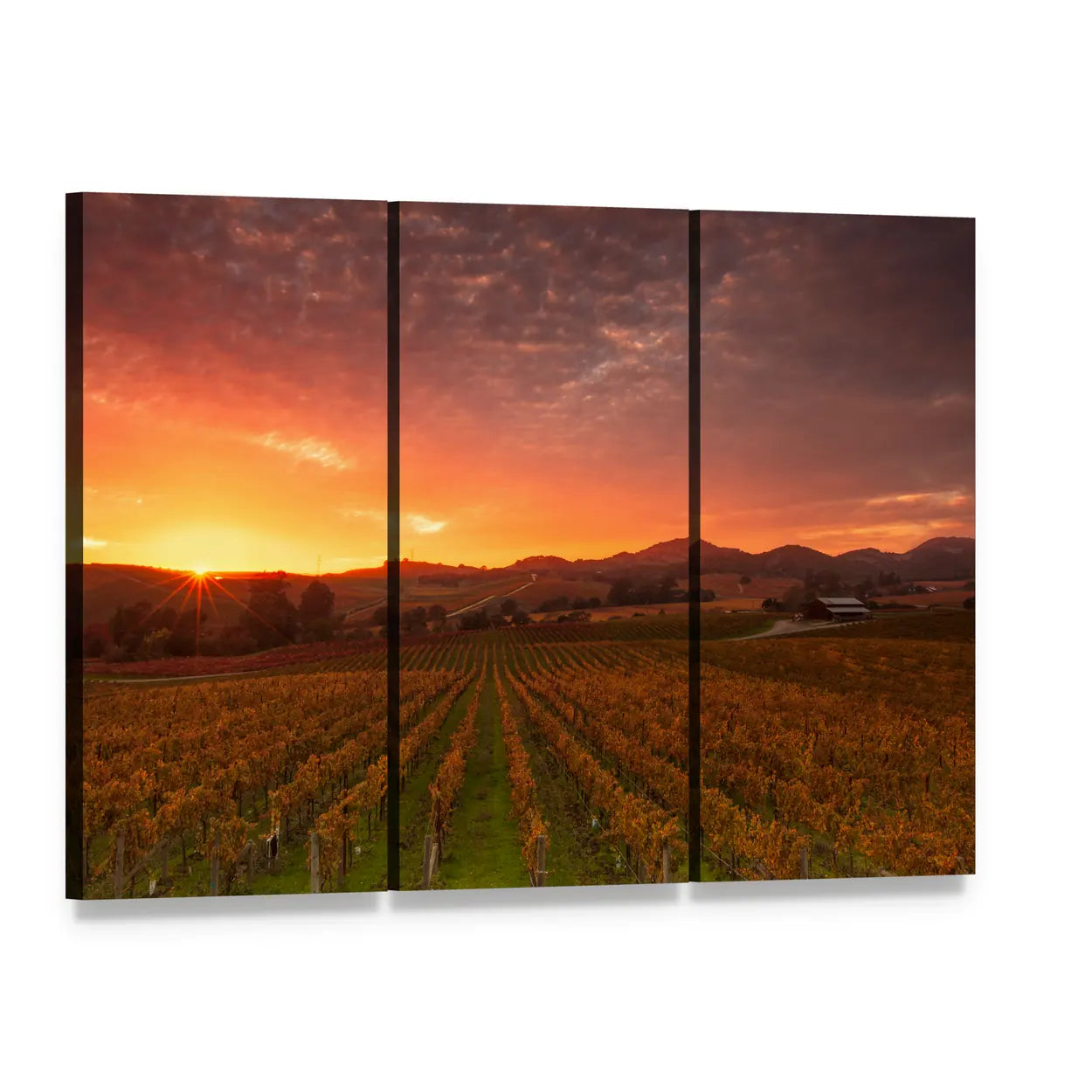 Sunrise Over Napa Valley Vineyards Canvas Wall Art, 3 panel 3 Horizontal layout gallery wrapped canvas set, angled product view