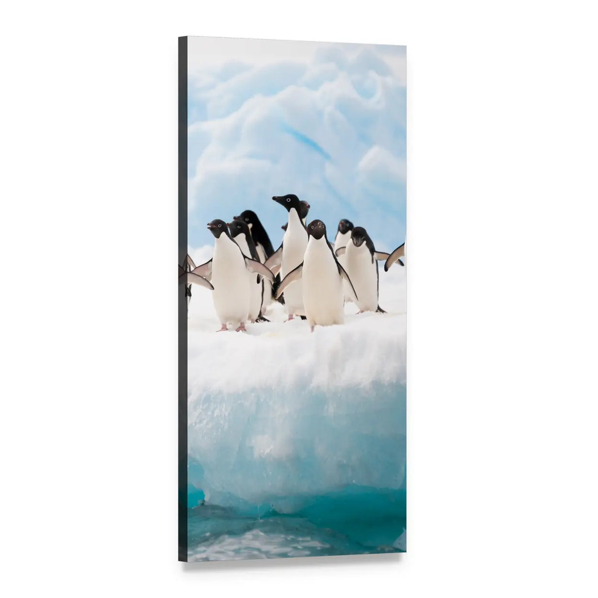 Adelie Penguins on Antarctic Iceberg Vertical Canvas Wall Art, 1 panel 1 Vertical layout gallery wrapped canvas set, angled product view