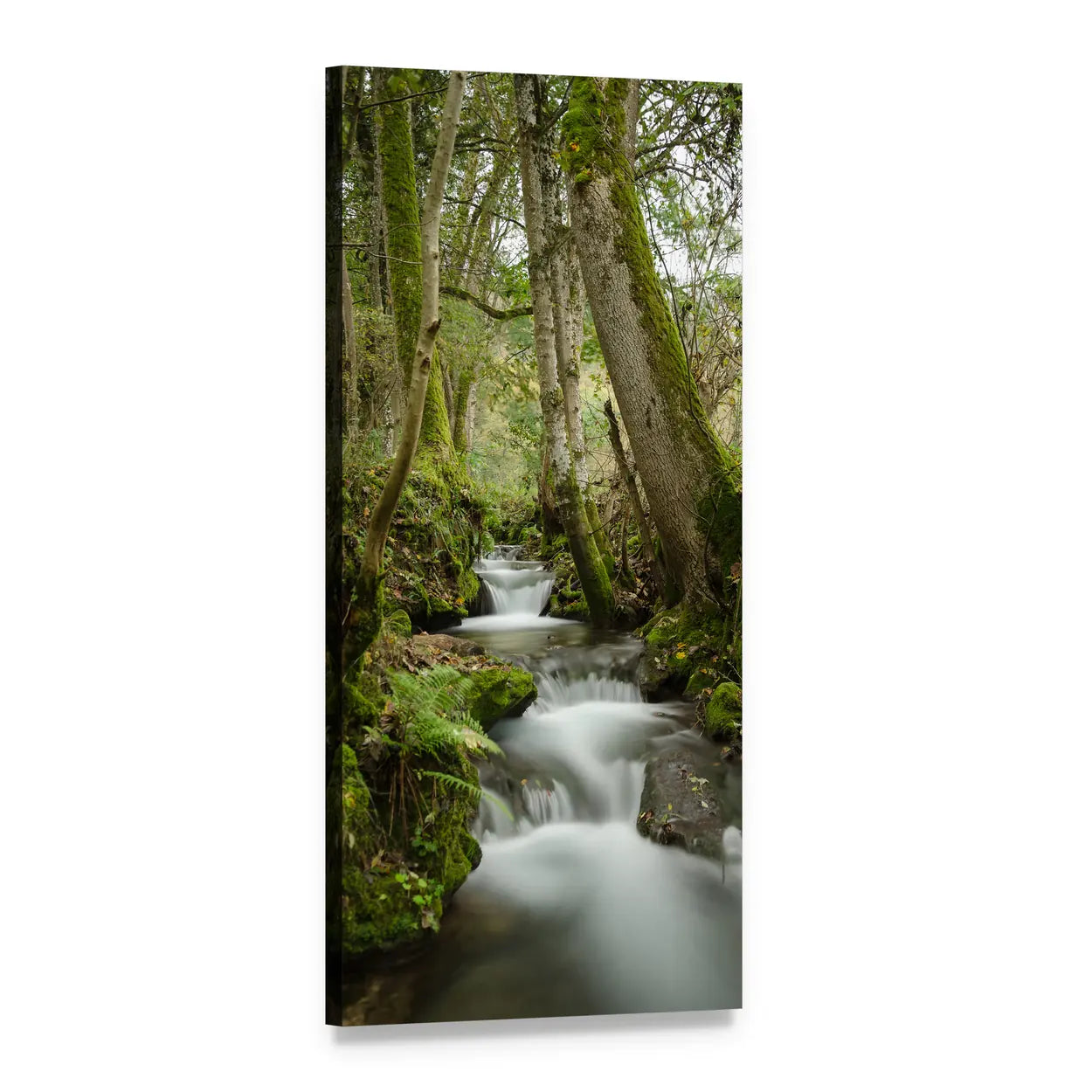 Mossy Forest Stream Long Exposure Vertical Canvas Wall Art, 1 panel 1 Vertical layout gallery wrapped canvas set, angled product view