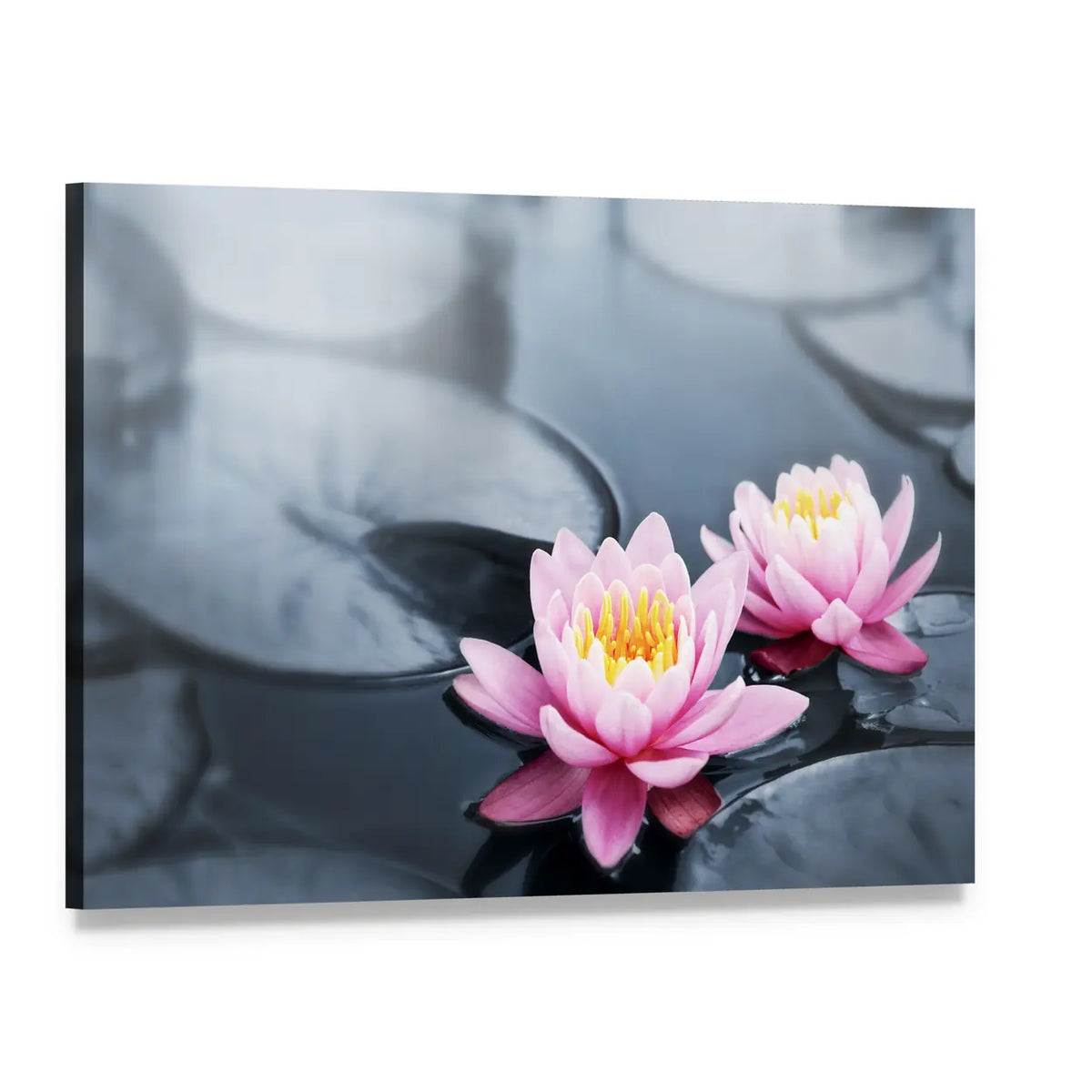 Pink Lotus Blossoms Canvas Wall Art, single panel gallery wrapped canvas, angled product view
