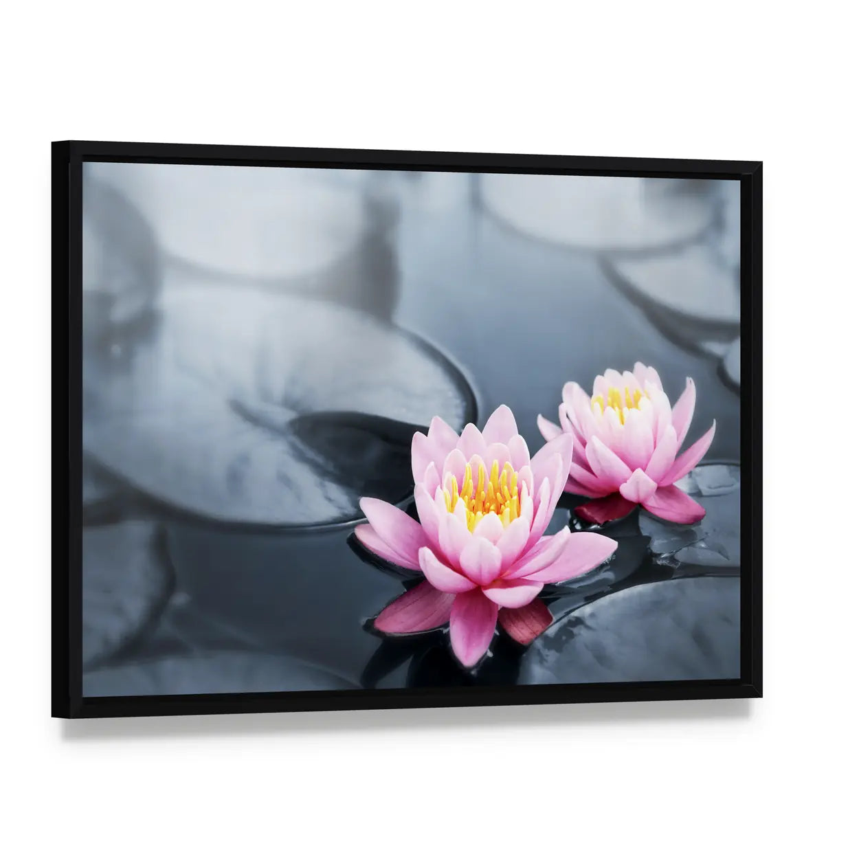 Pink Lotus Blossoms Canvas Wall Art, framed canvas in a black floater frame, angled product view