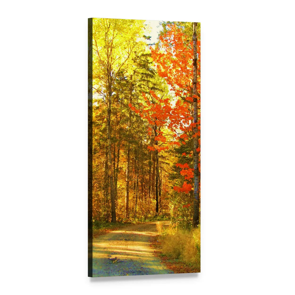 Autumn Forest Path Vertical Canvas Wall Art, 1 panel 1 Vertical layout gallery wrapped canvas set, angled product view