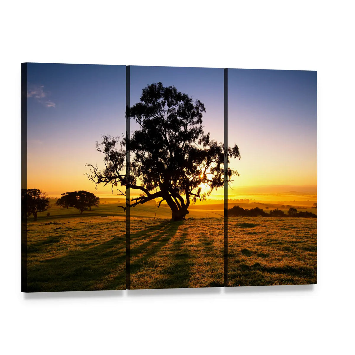 Sunrise Over Field with Large Tree Silhouette Canvas Wall Art, 3 panel 3 Horizontal layout gallery wrapped canvas set, angled product view