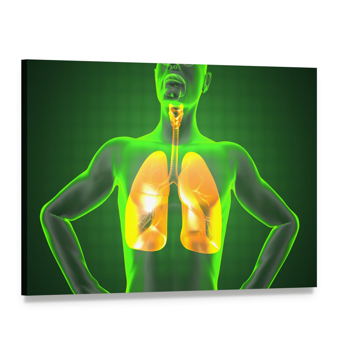 Human Chest Radiography Canvas Wall Art, single panel gallery wrapped canvas, angled product view