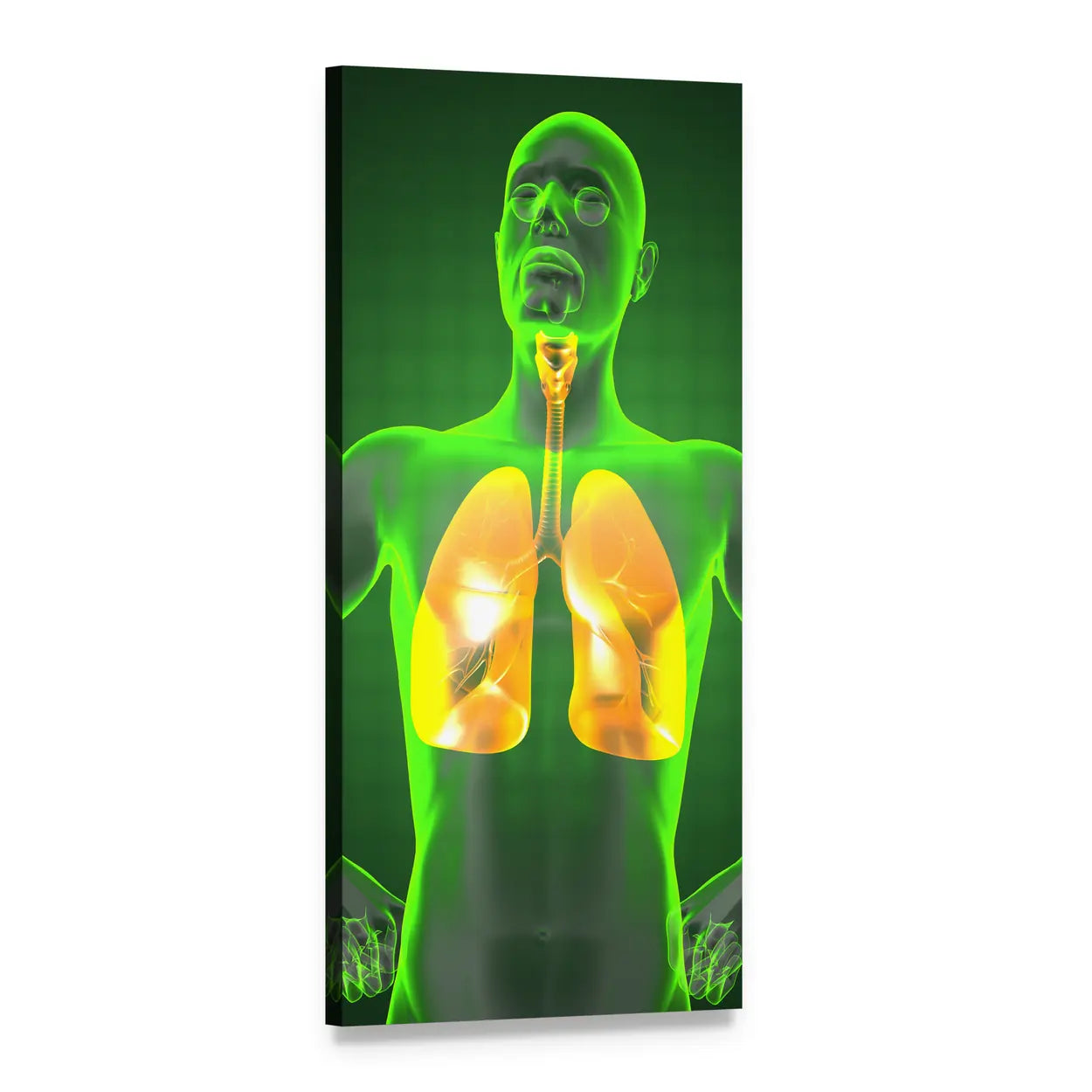 Human Chest Radiography Vertical Canvas Wall Art, 1 panel 1 Vertical layout gallery wrapped canvas set, angled product view