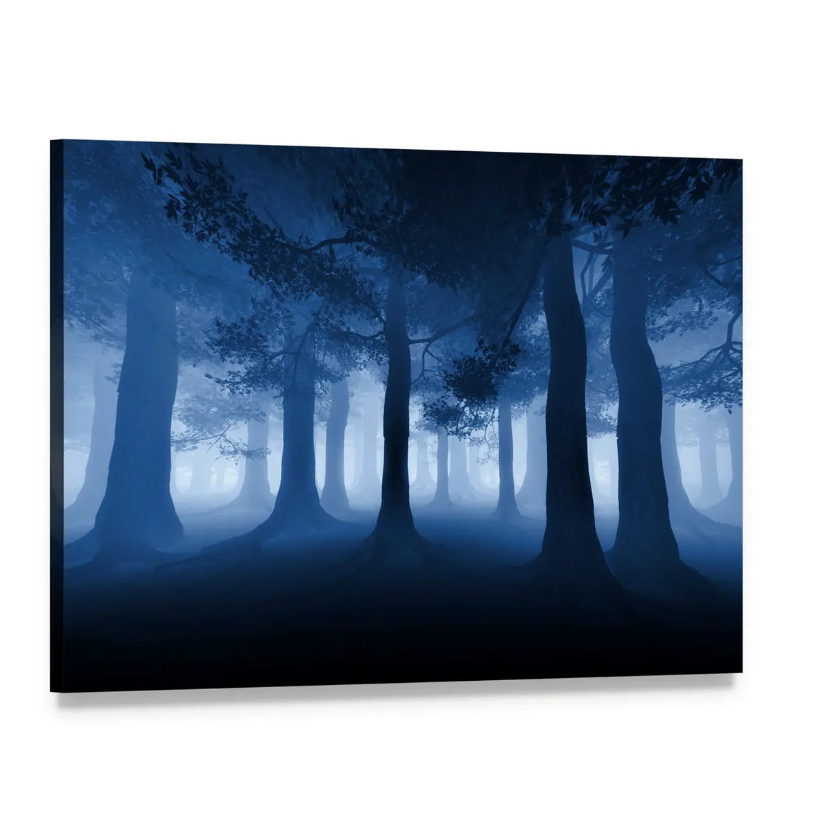 Dark Blue Forest With A Ray Of Light Canvas Wall Art, single panel gallery wrapped canvas, angled product view