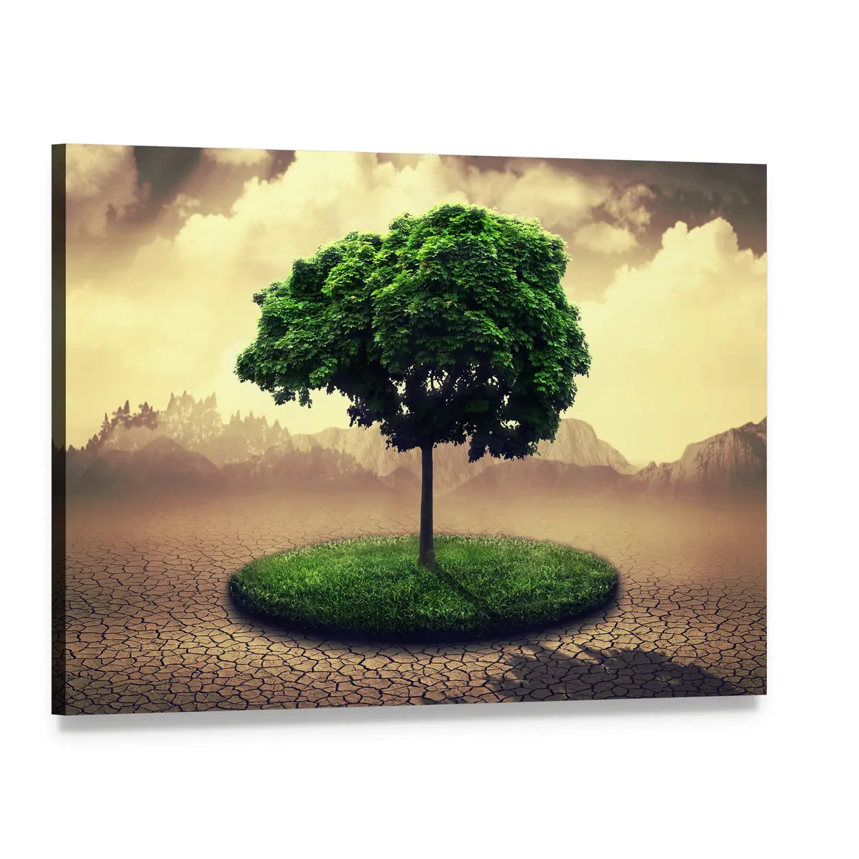 Lone Tree on Cracked Earth Canvas Wall Art, single panel gallery wrapped canvas, angled product view