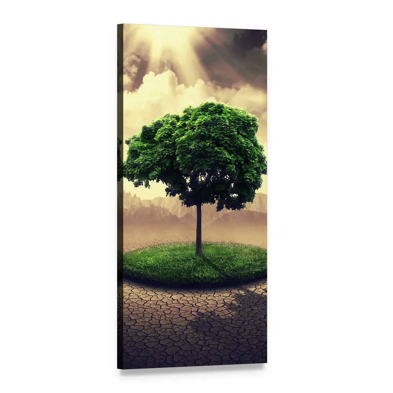Oasis Tree on Cracked Earth Vertical Canvas Wall Art, 1 panel 1 Vertical layout gallery wrapped canvas set, angled product view