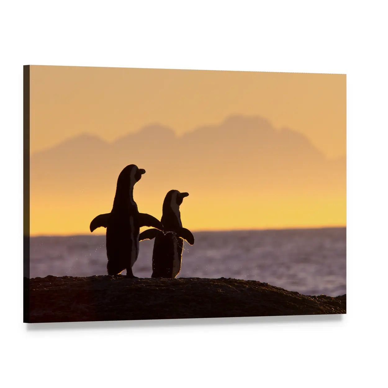 Two Penguins at Sunset Canvas Wall Art, single panel gallery wrapped canvas, angled product view