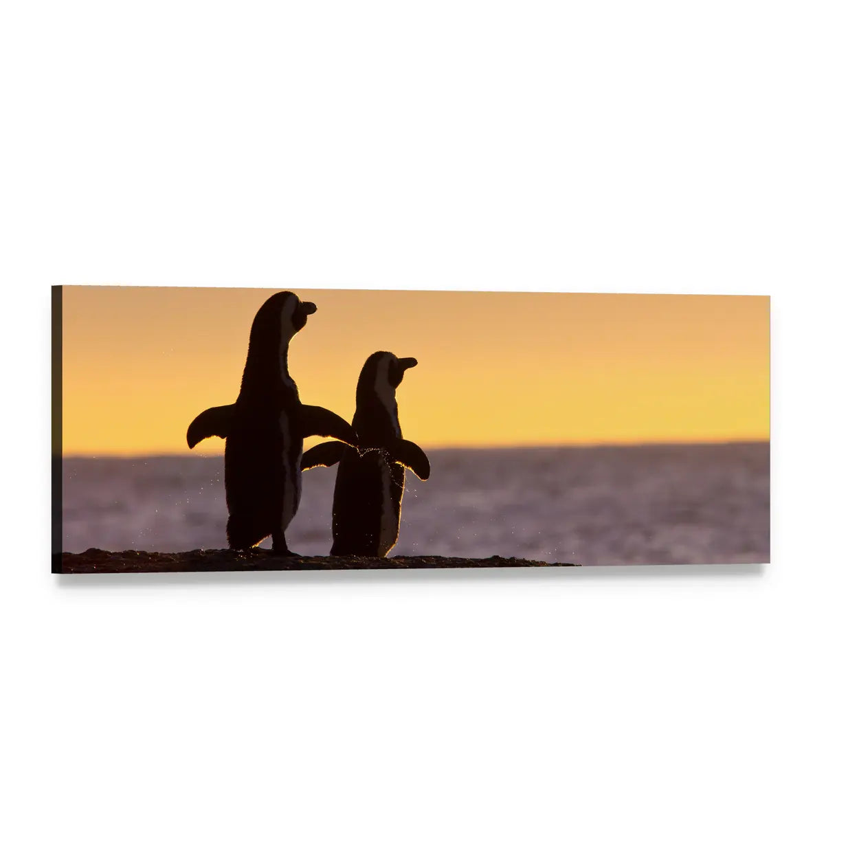 Two Penguin Silhouettes at Golden Sunset Panoramic Canvas Wall Art, single panel gallery wrapped canvas, angled product view