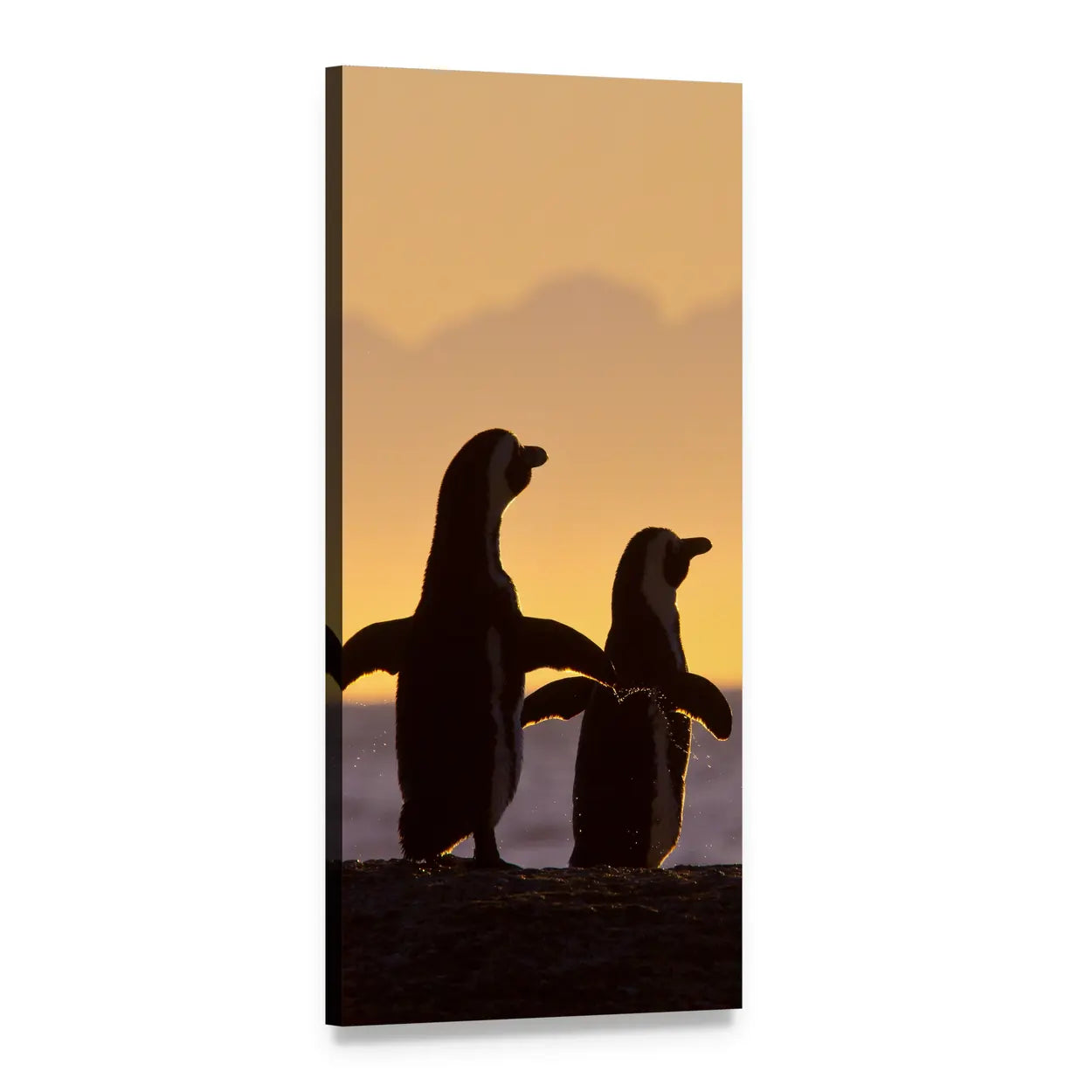 Penguins at Sunset on Rocky Shore Vertical Canvas Wall Art, 1 panel 1 Vertical layout gallery wrapped canvas set, angled product view