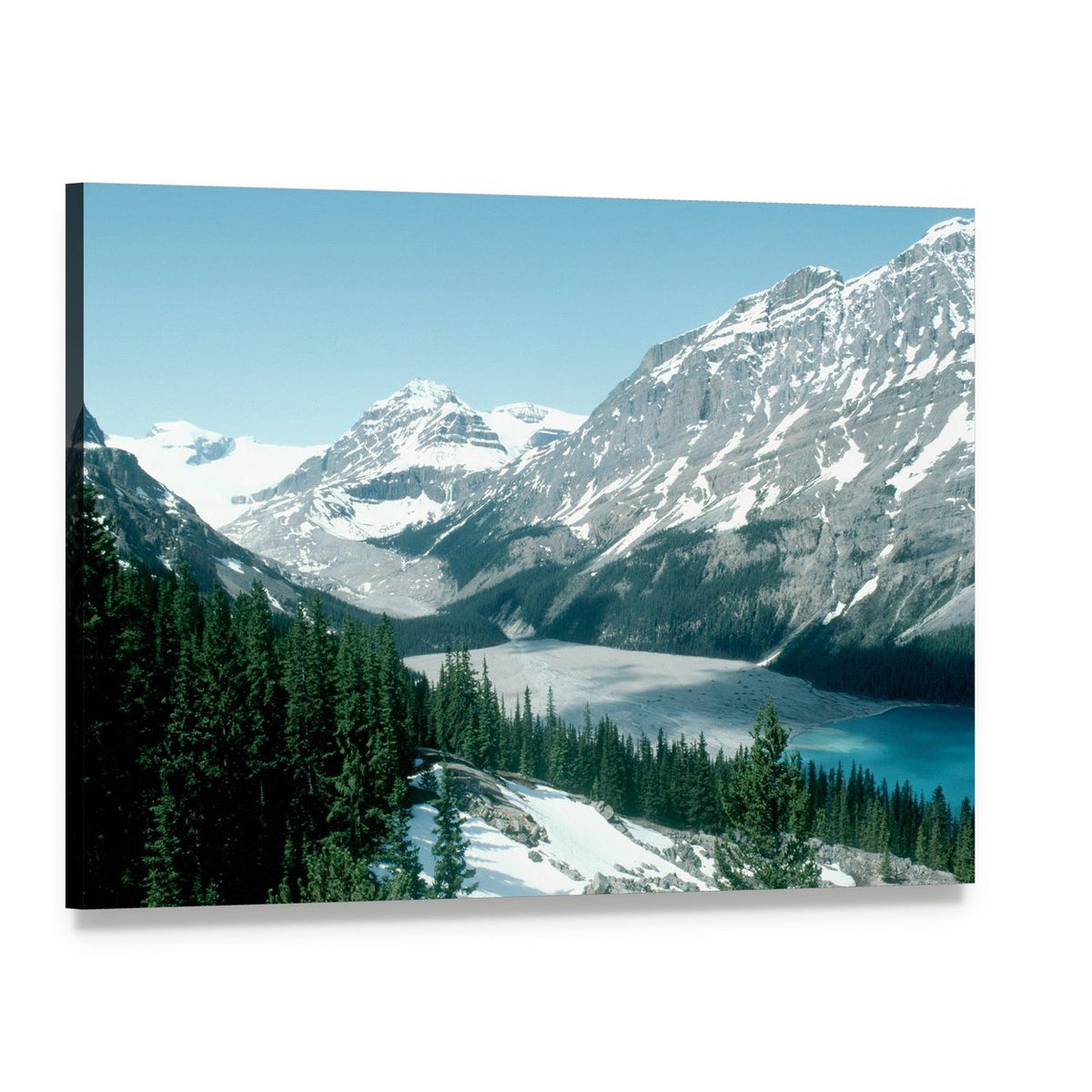 Peyto Lake with Snow-capped Mountains Canvas Wall Art, single panel gallery wrapped canvas, angled product view