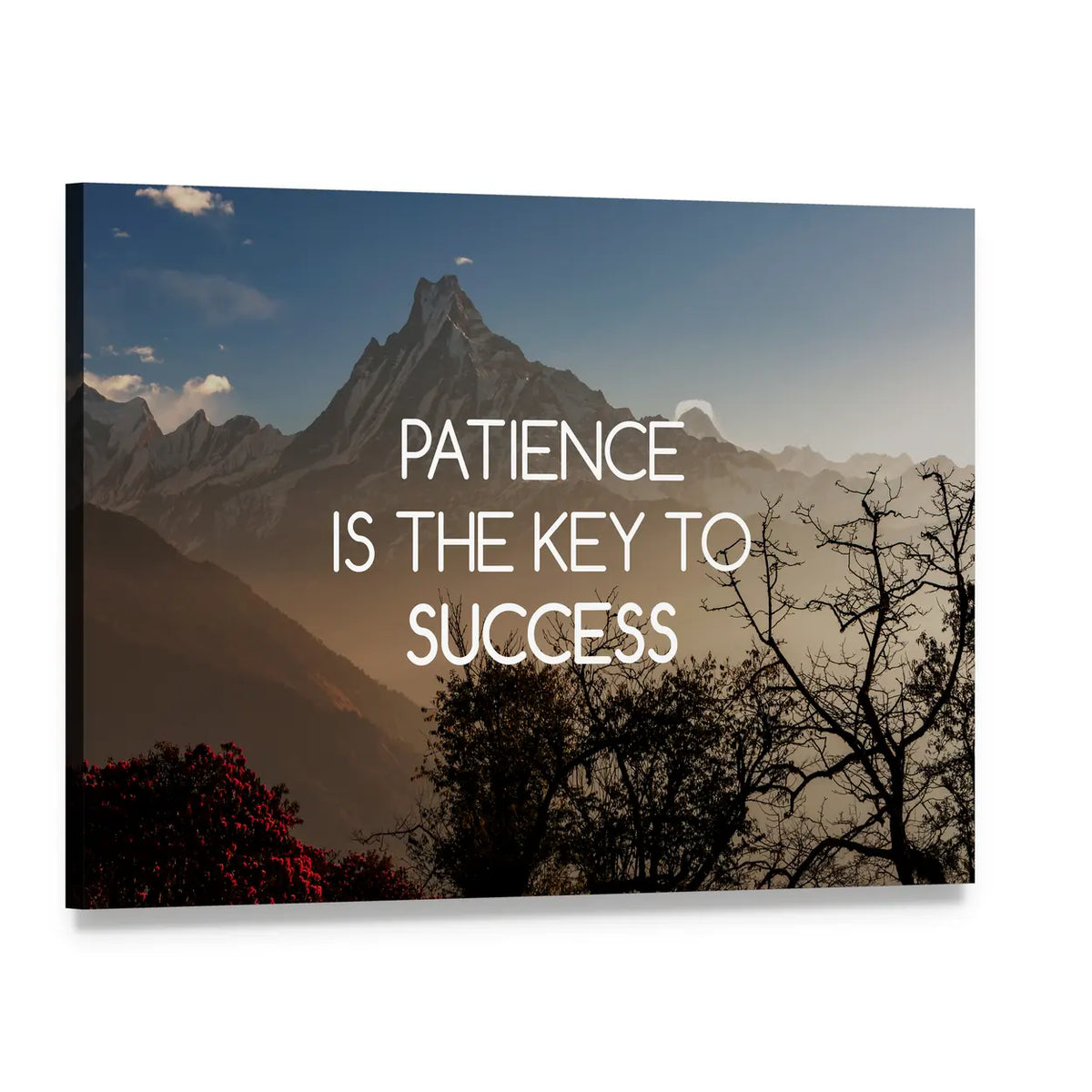 Patience Is the Key to Success Canvas Wall Art, single panel gallery wrapped canvas, angled product view