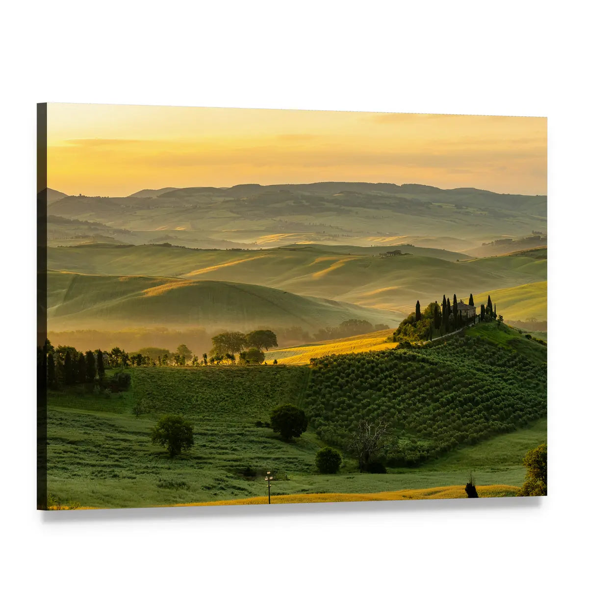 Tuscany Rolling Hills with Cypress Trees Canvas Wall Art, single panel gallery wrapped canvas, angled product view